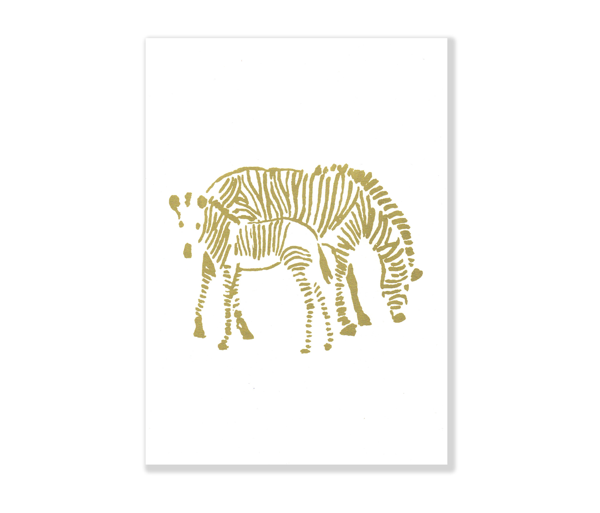 *Zebra*
