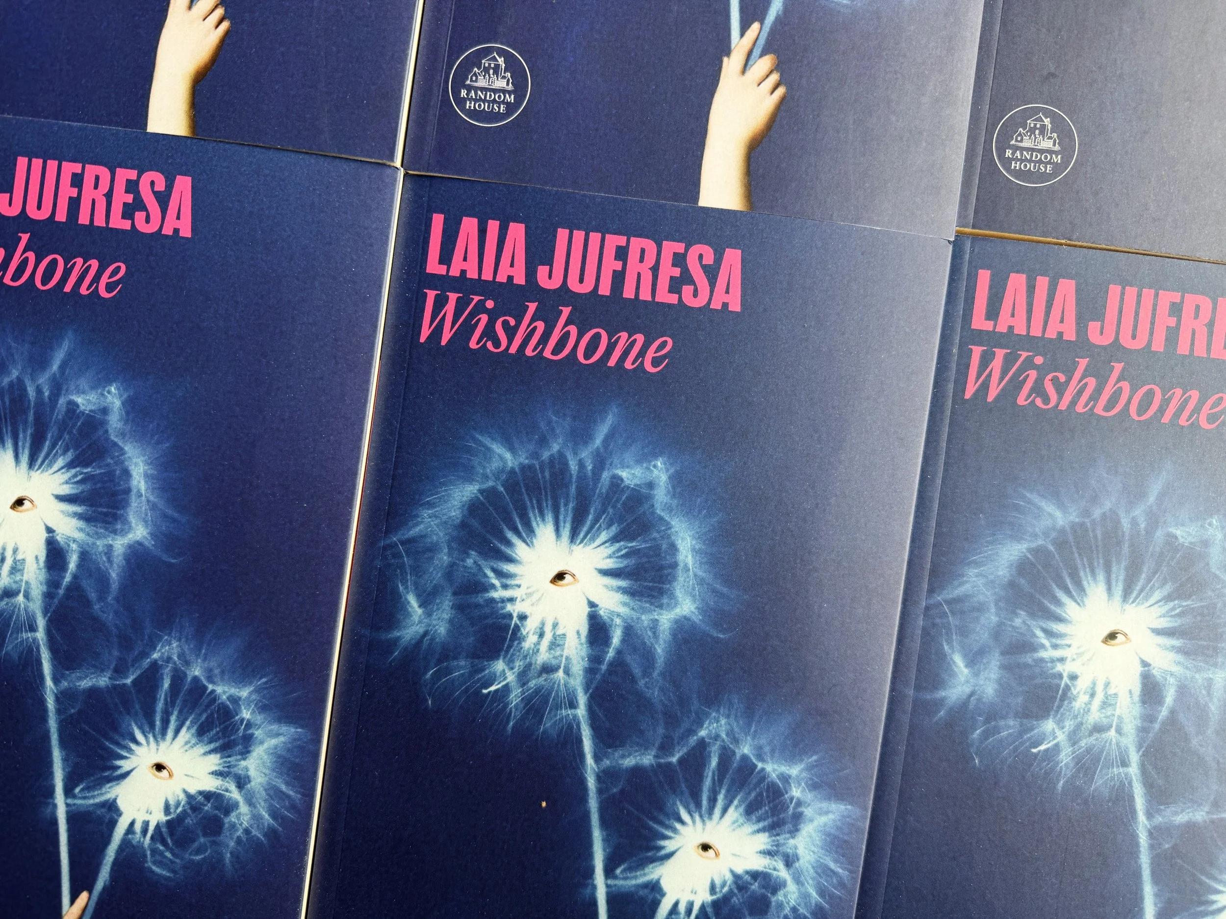 Wishbone | Kit 2026 [Octubre]