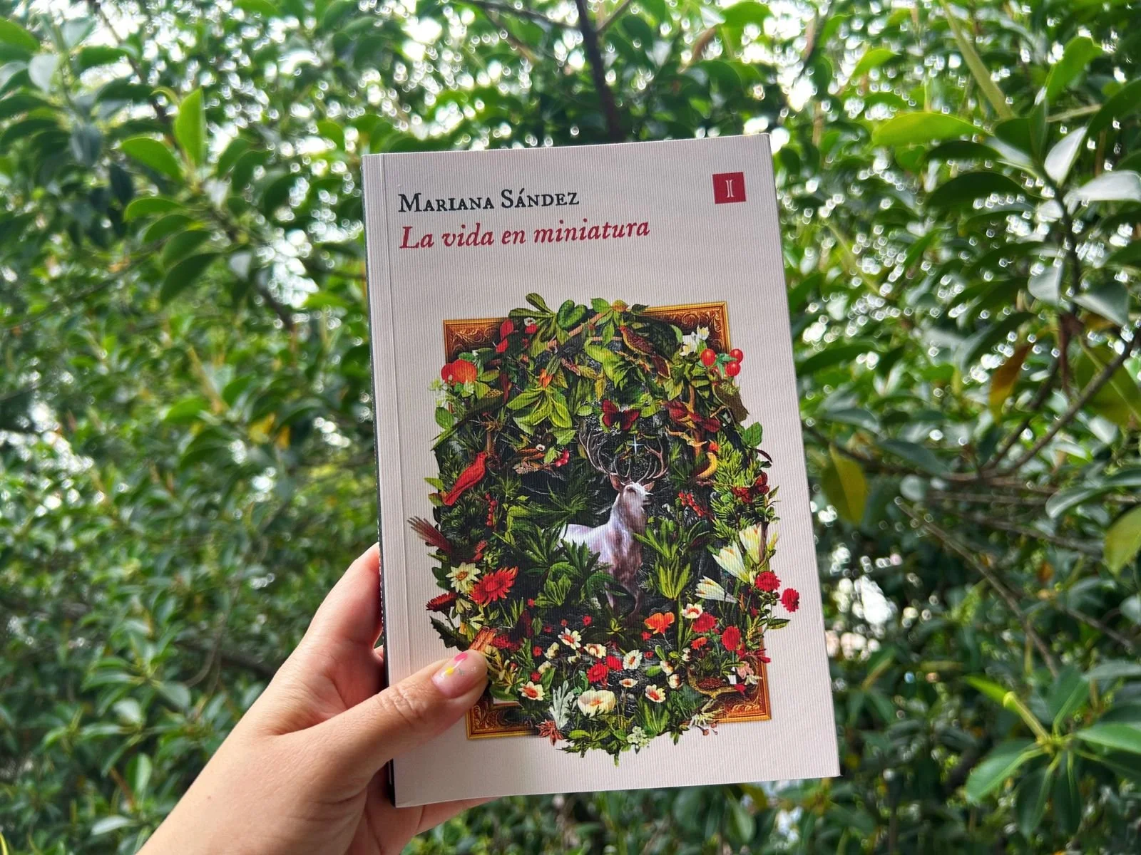 La vida en miniatura-Club de lectura.jpeg