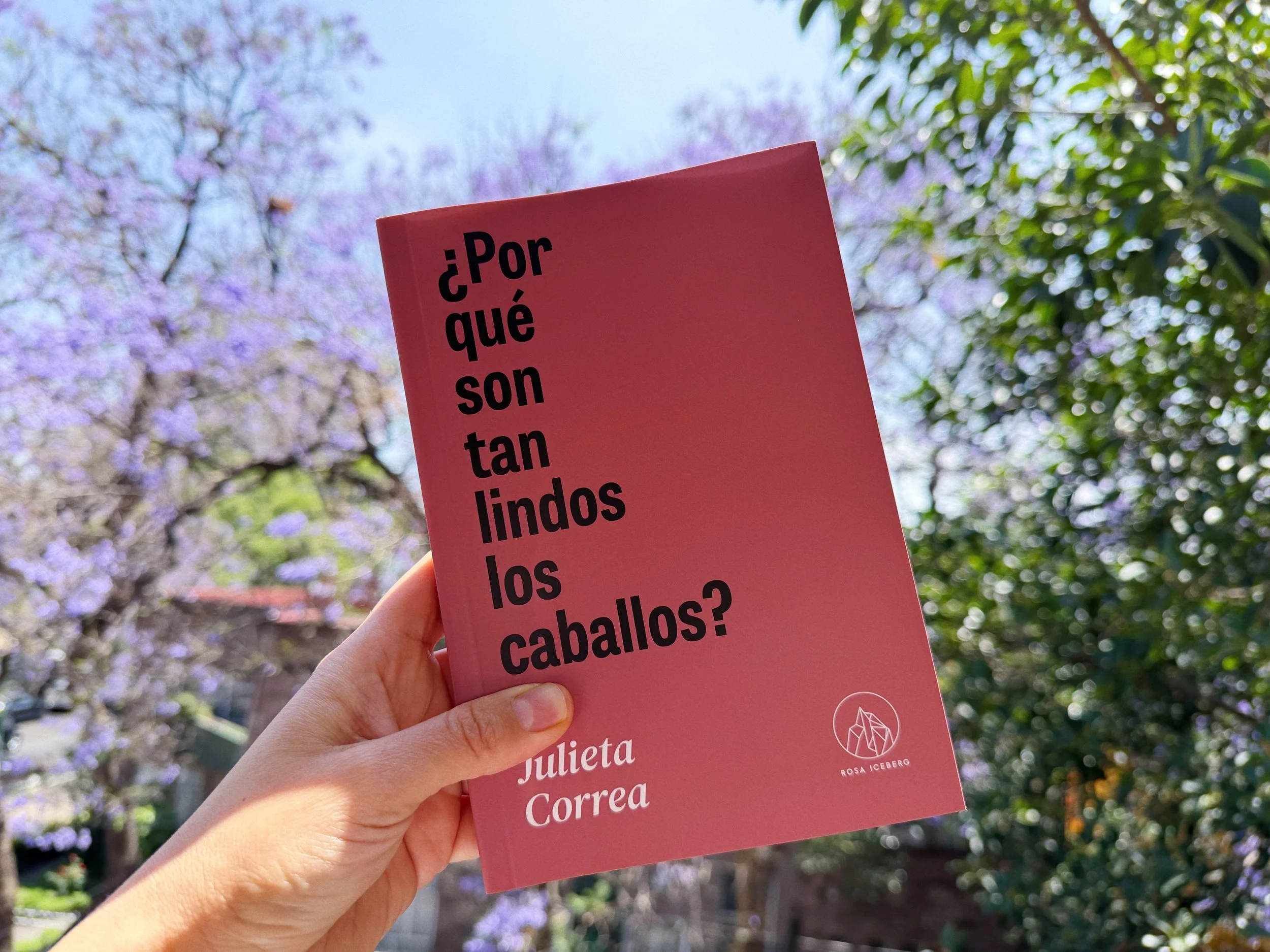¿Por qué son tan lindos los caballos? - Club de lectura.jpg