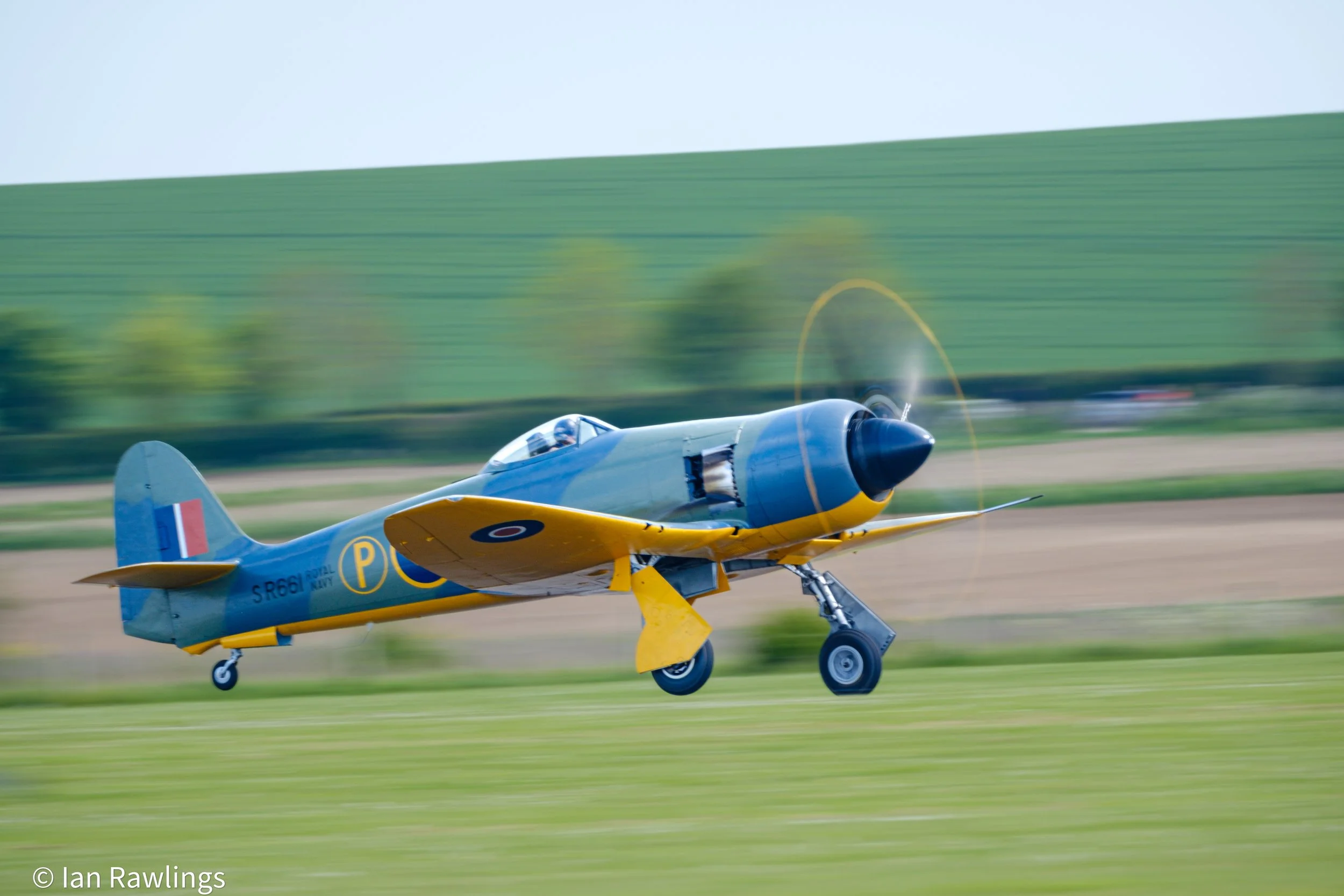DSCF0164.jpg