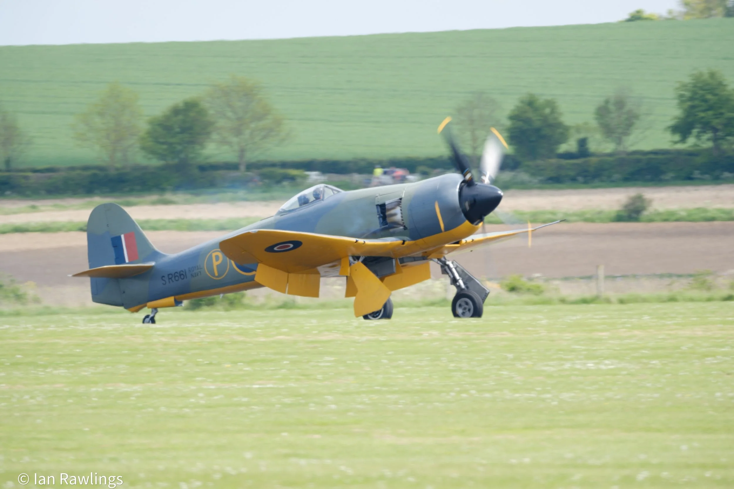 DSCF0365.jpg