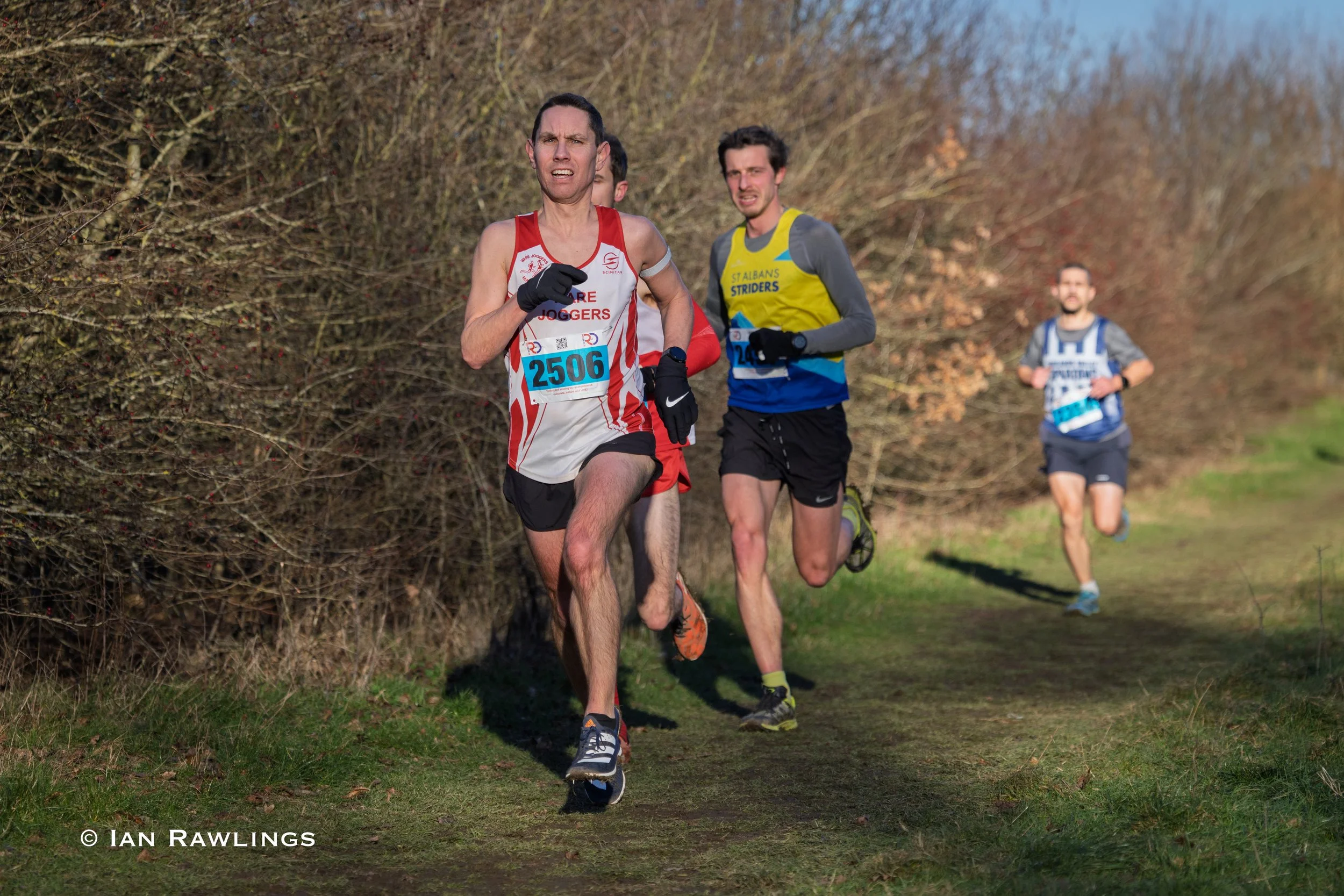 Hertfordshire Cross Country