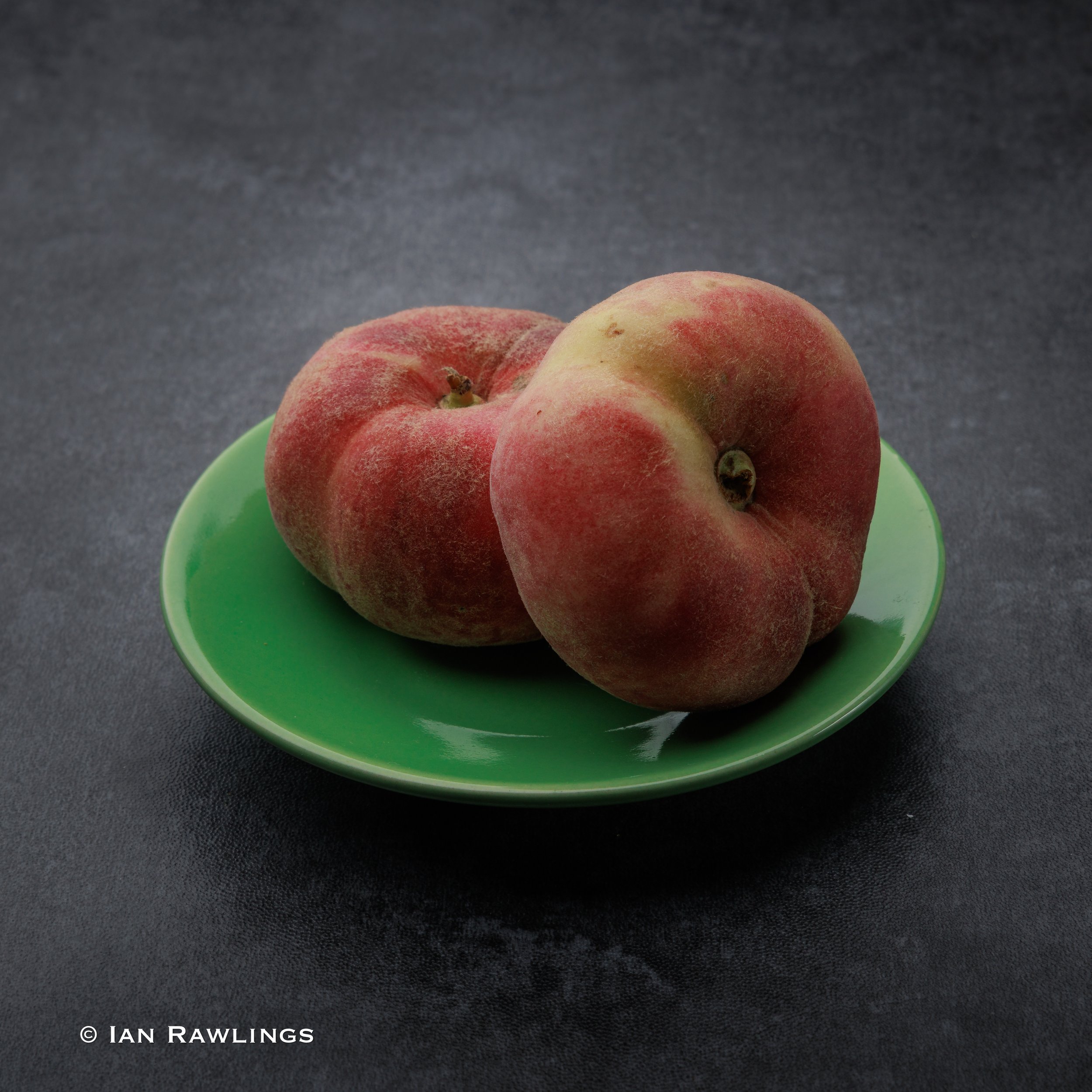 Panel Competition Development