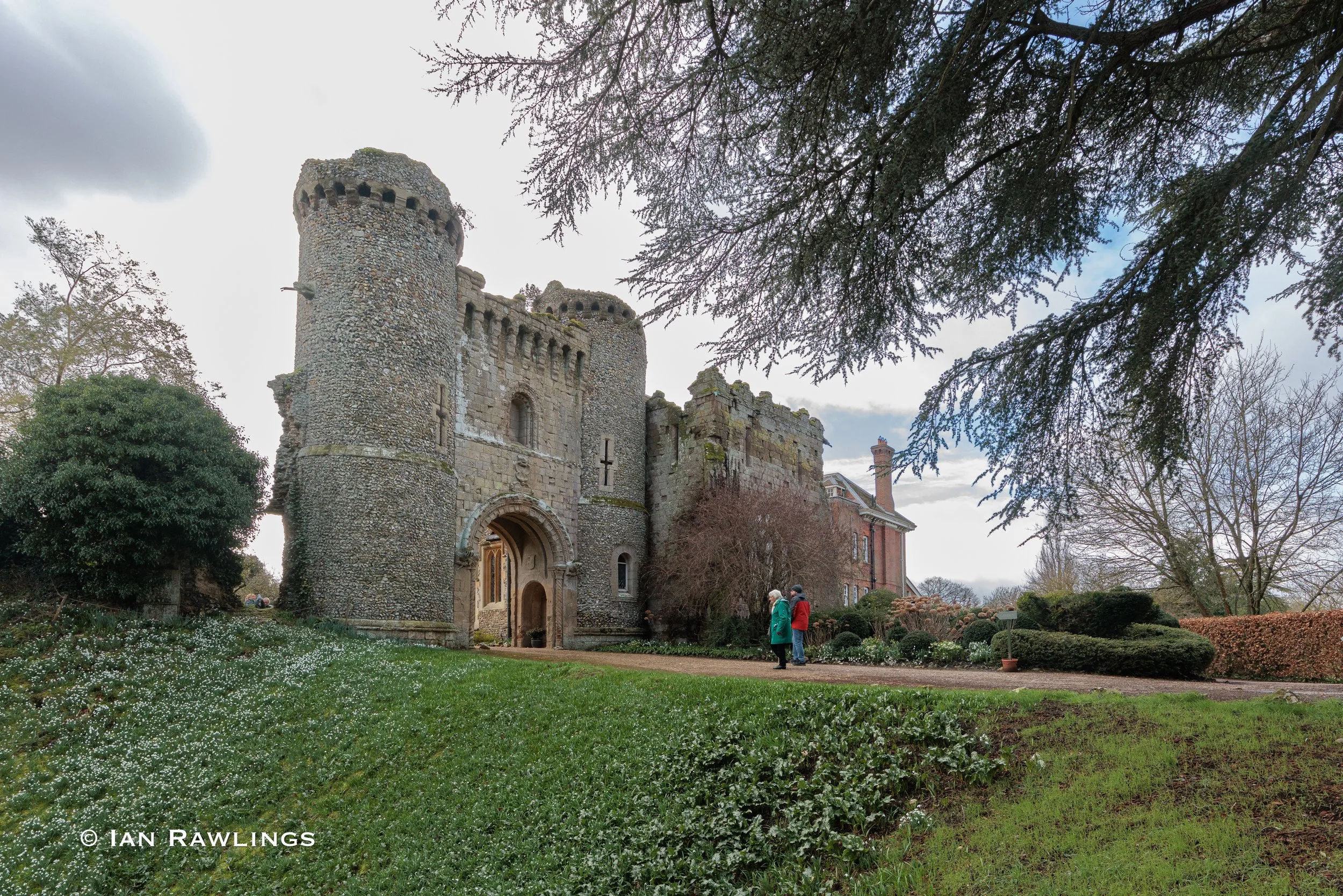 Bennington Snowdrops