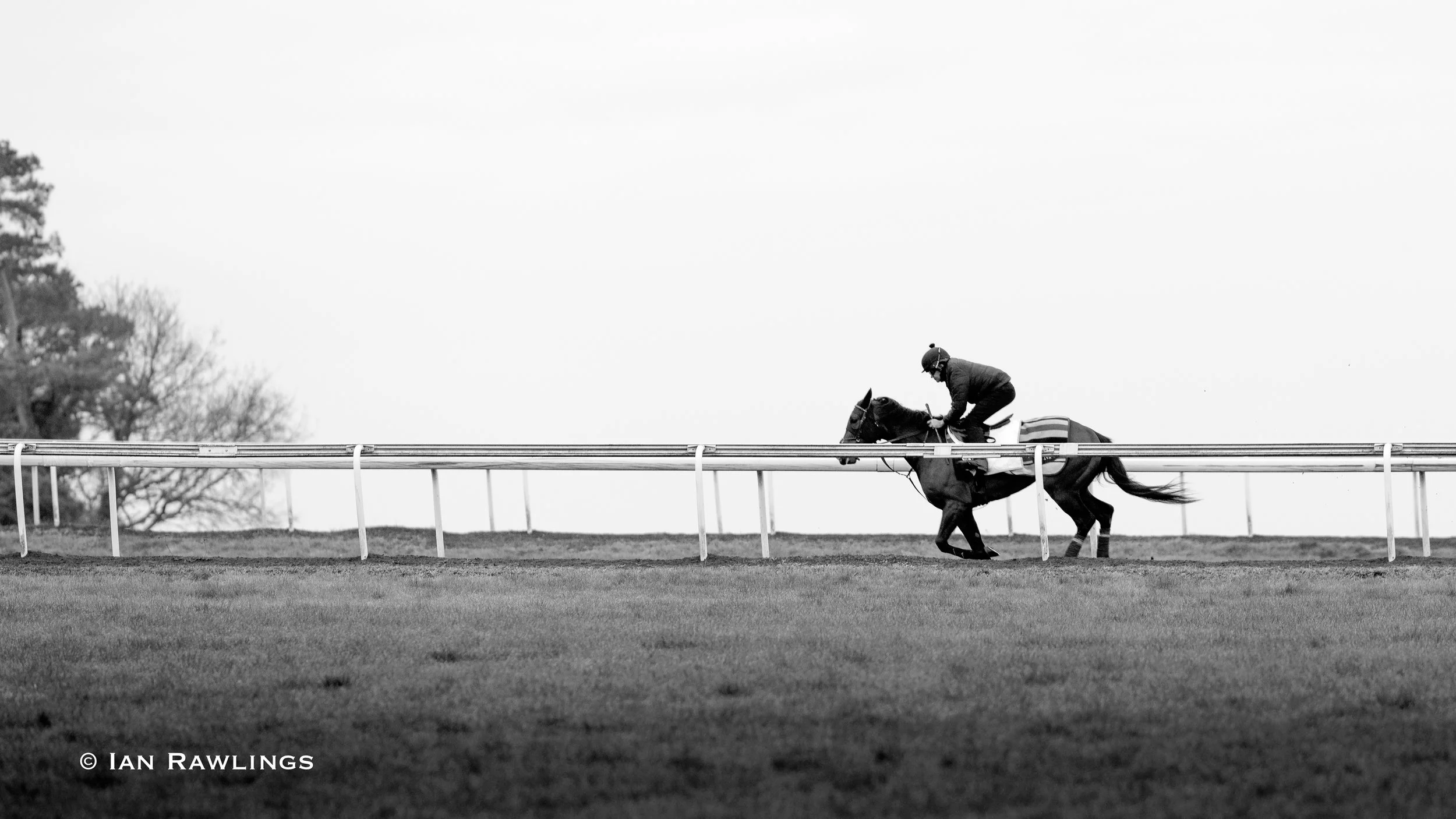 Newmarket Gallops