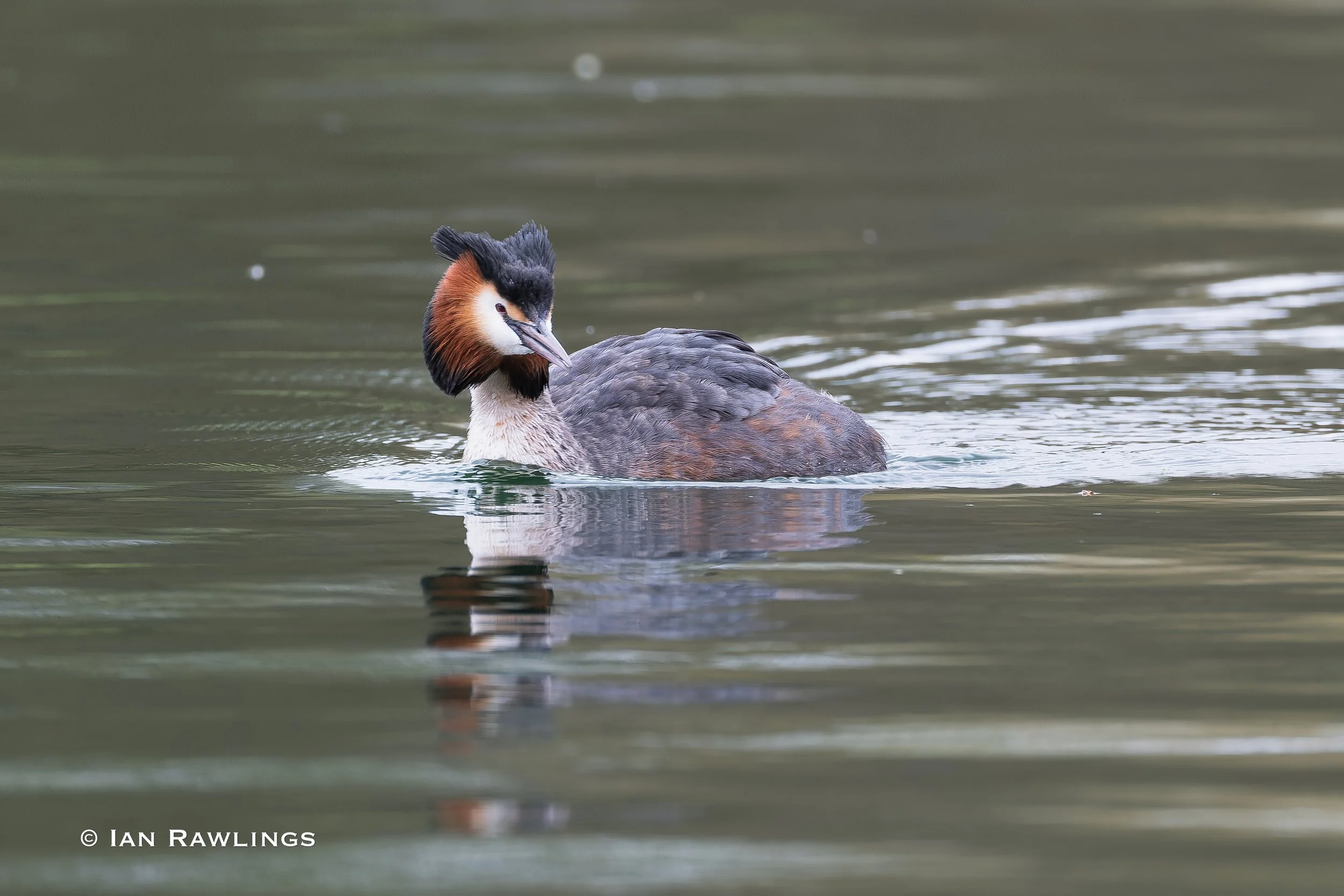 Stanborough Lakes