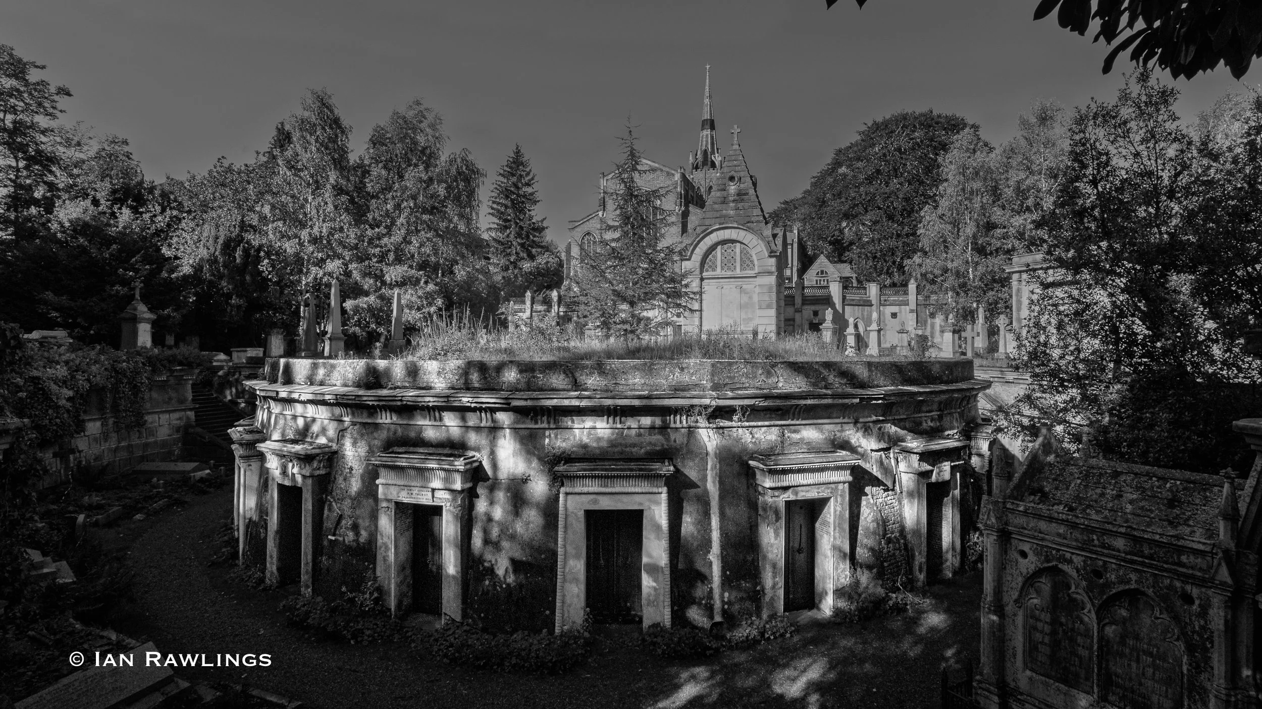 Highgate Tombs and Foxes