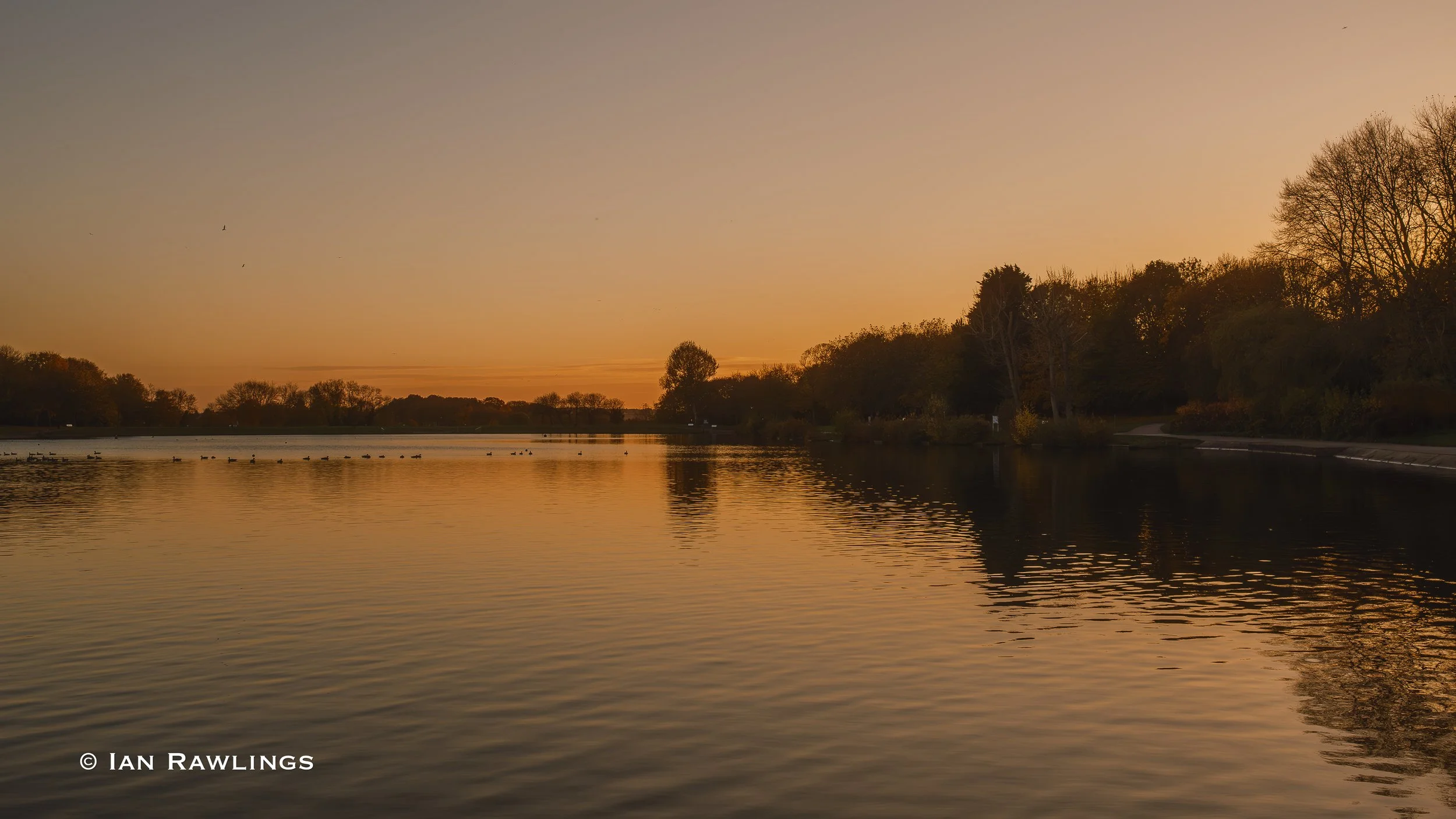 DSCF4083-Enhanced-NR.jpg