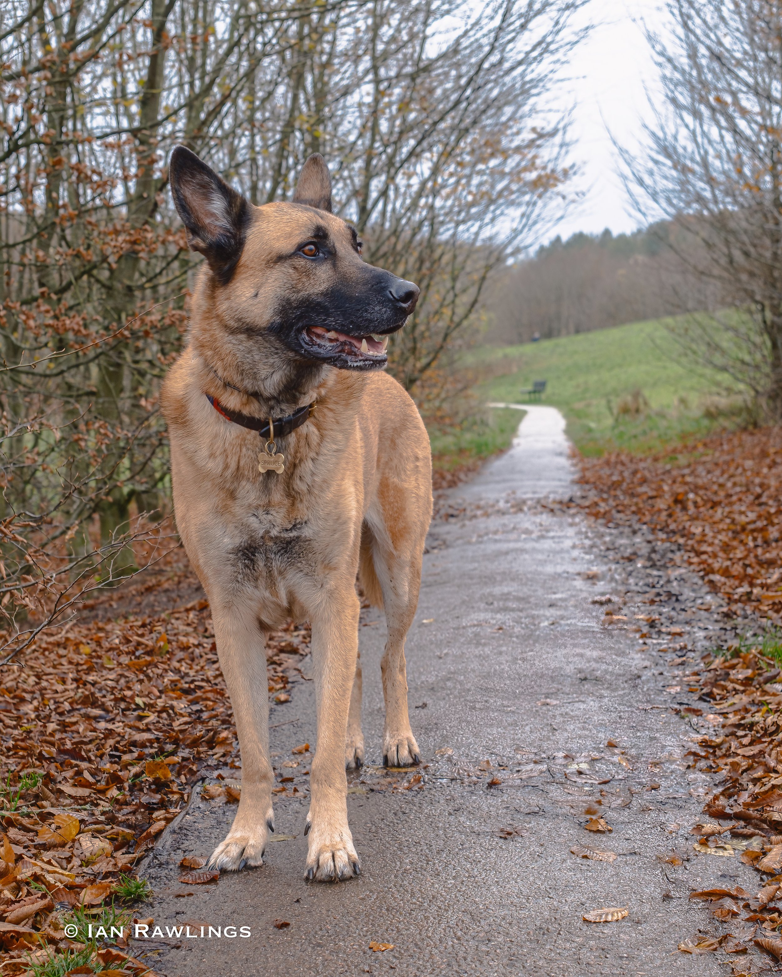 DSCF4279-Edit.jpg