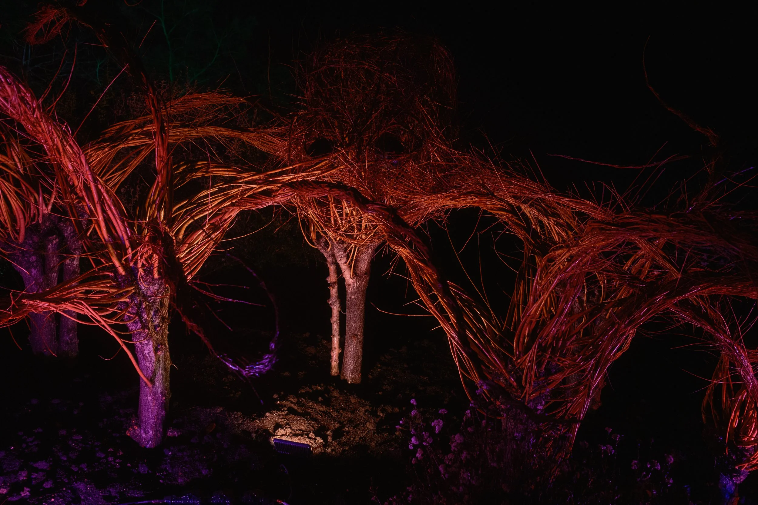 DSCF4510.jpg