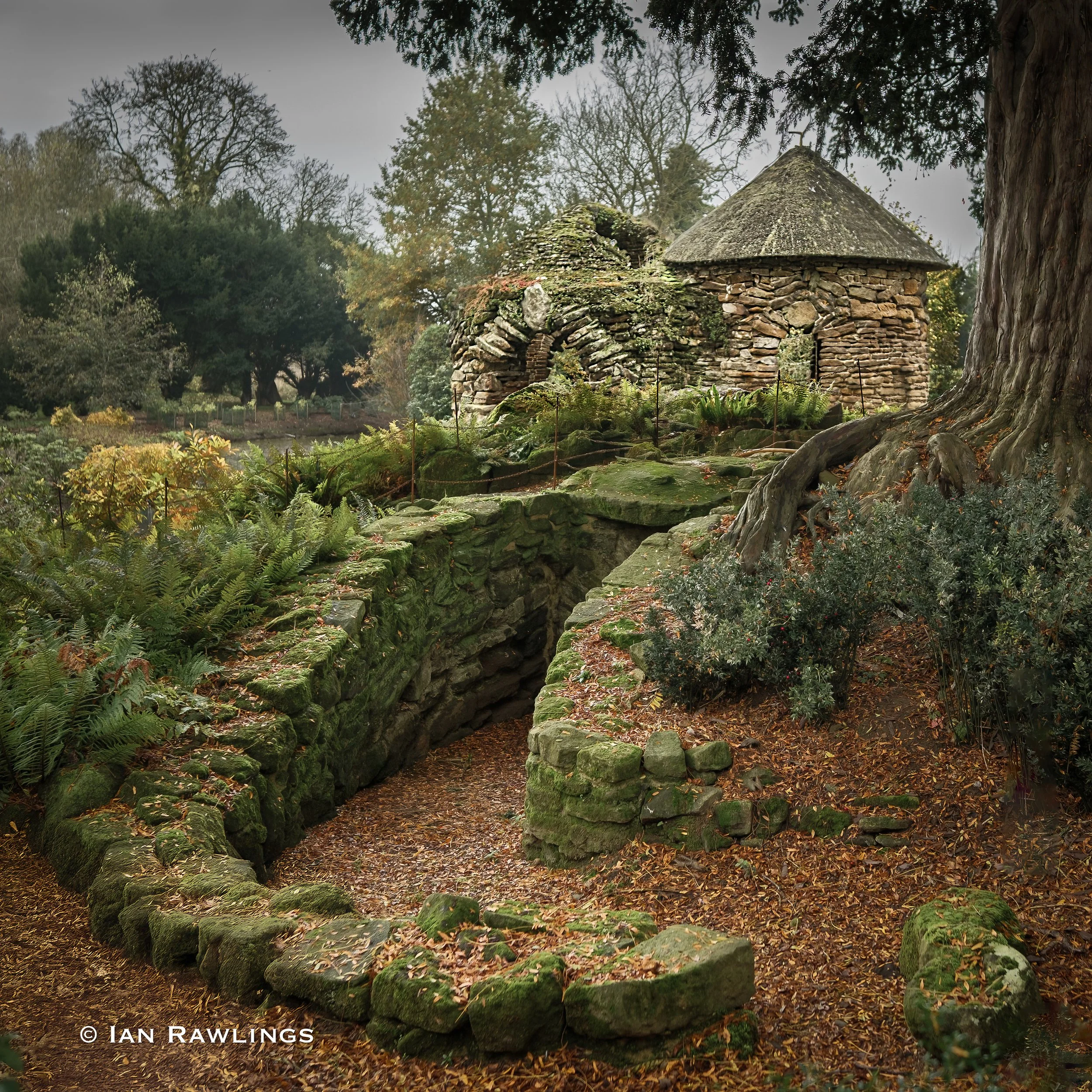 DSCF8249-Edit.jpg