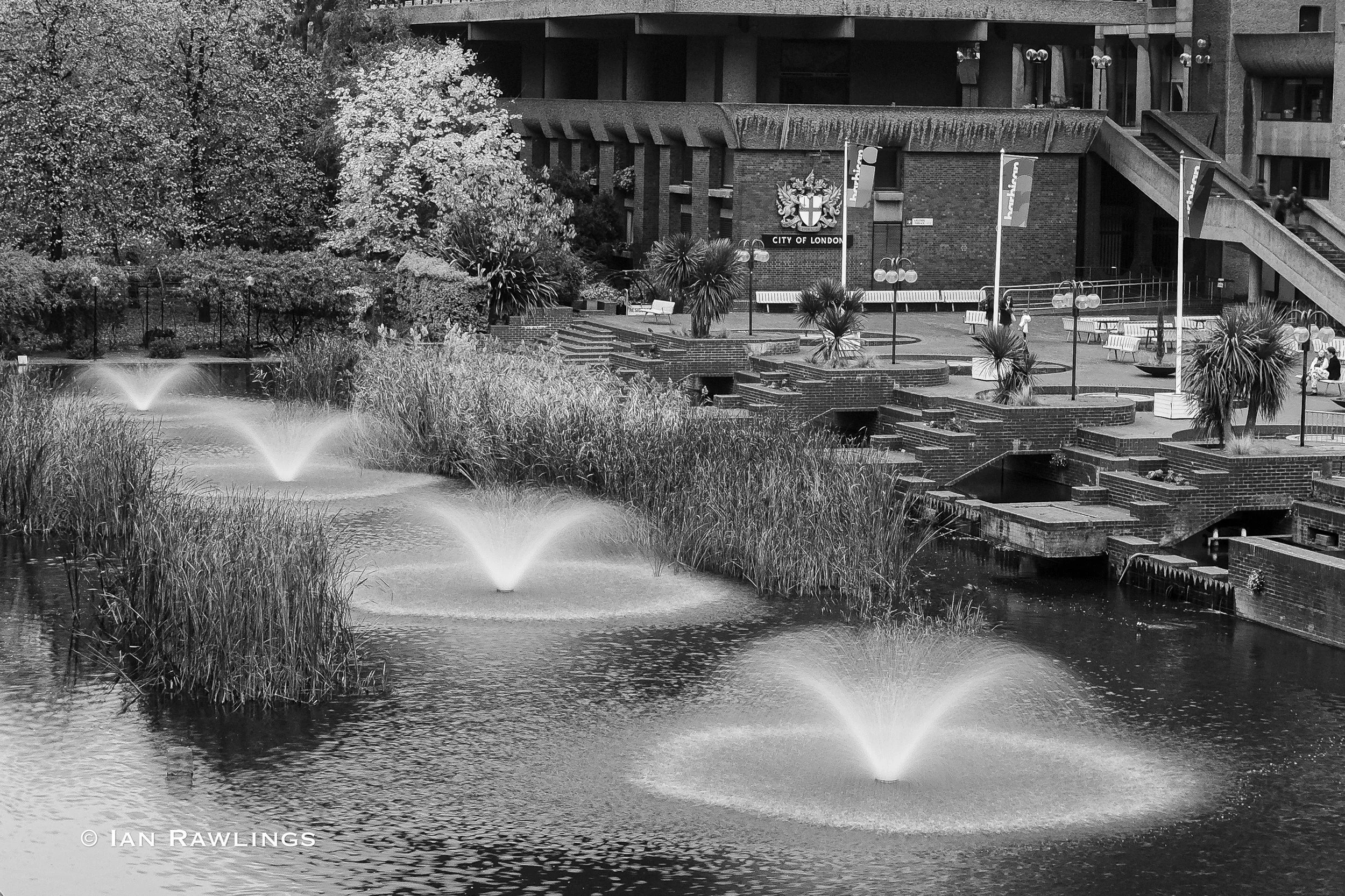 DSCF3938.jpg
