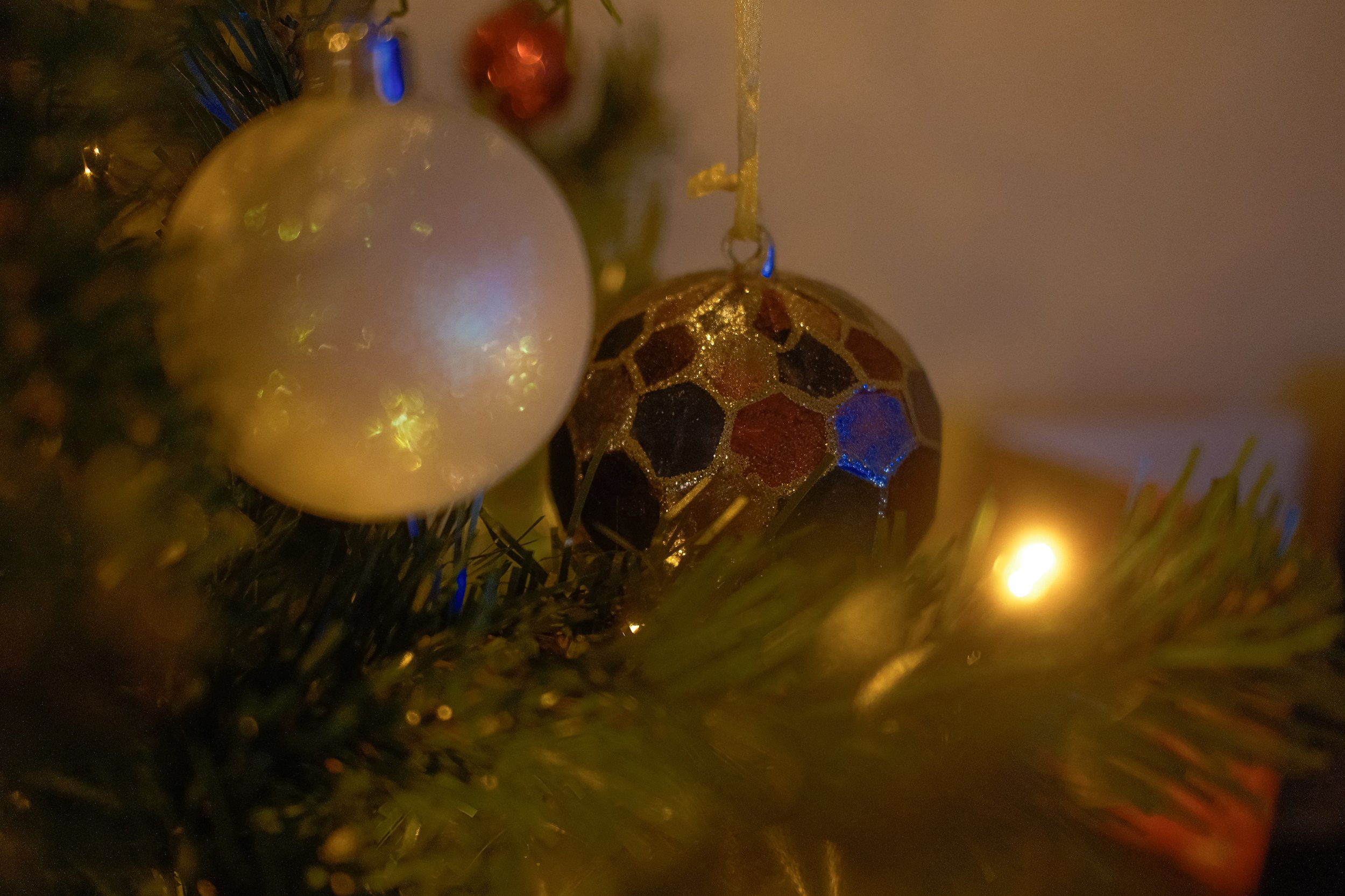 DSCF4830.jpg