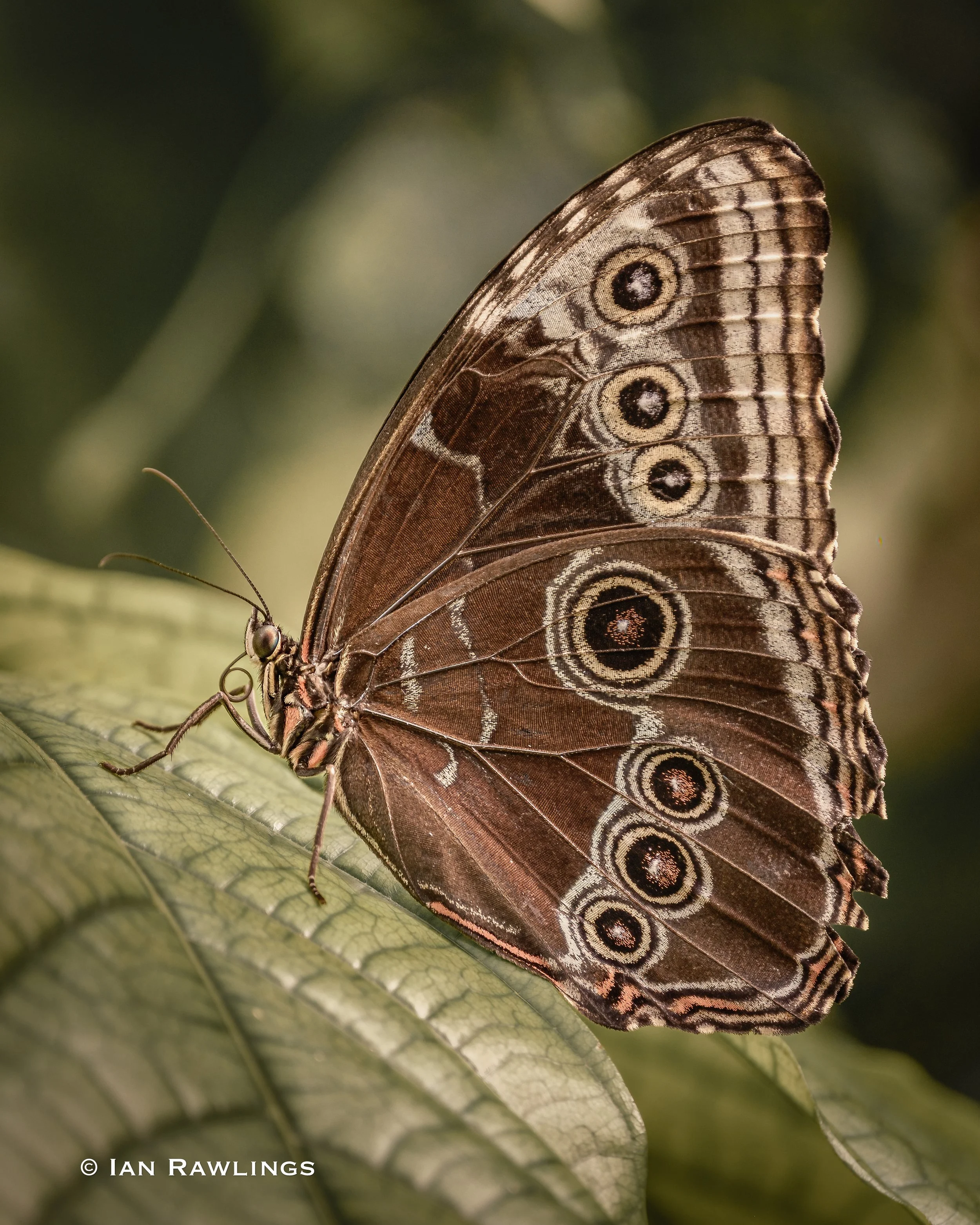 DSCF8364-Edit.jpg