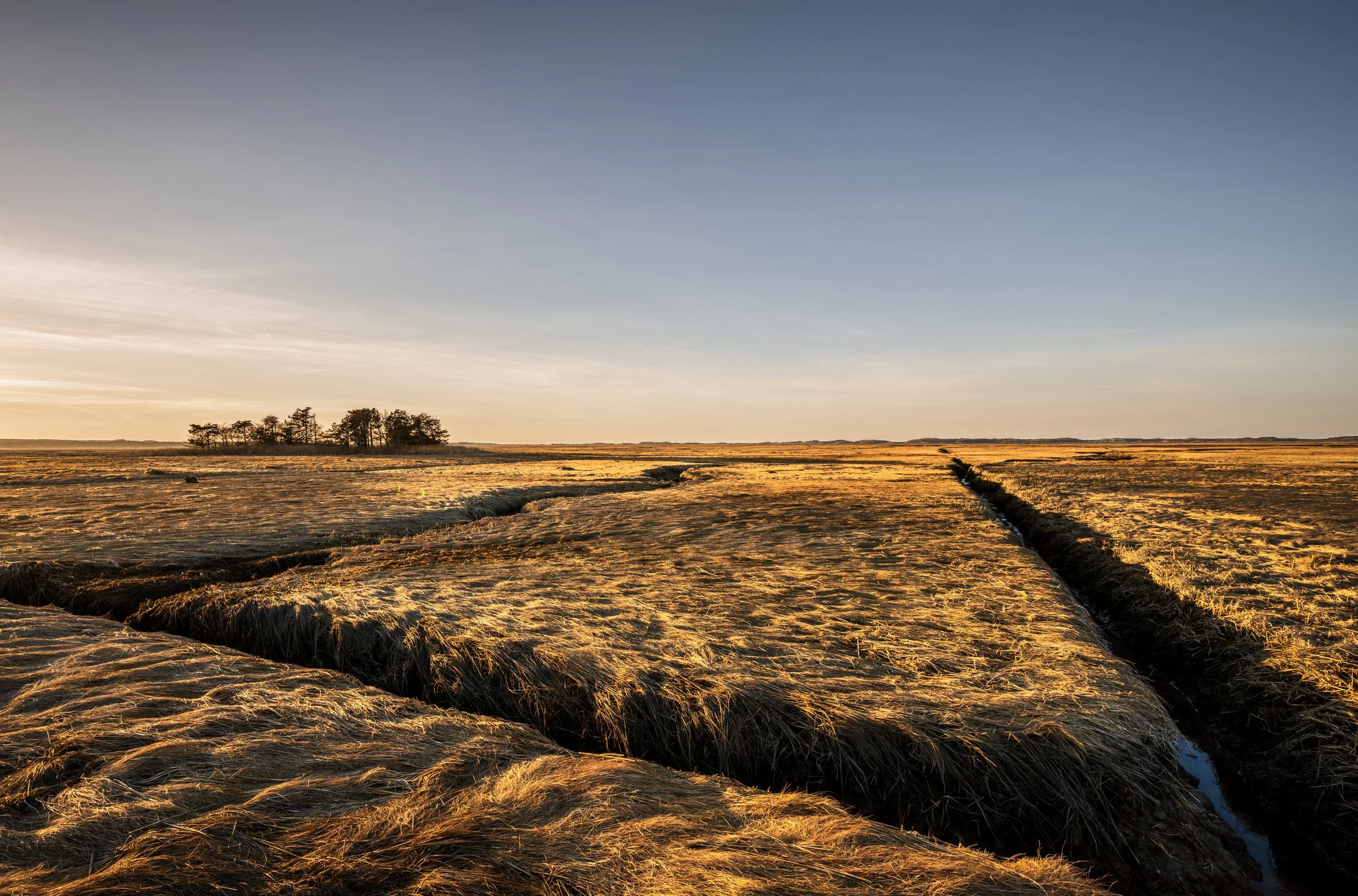 Great Marsh. Barnstable