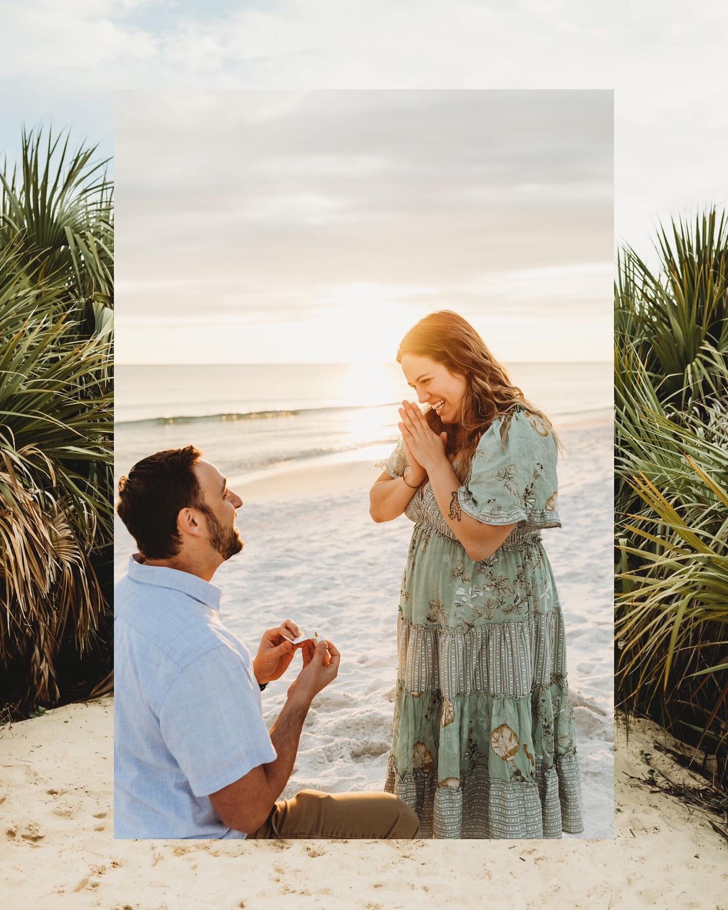 When your family session turns into a proposal 😍😍😍 

I just get so excited when my past clients have me capture the special milestones in their lives. Our journey together started when I photographed the birth of their sweet girl, so when Scott re