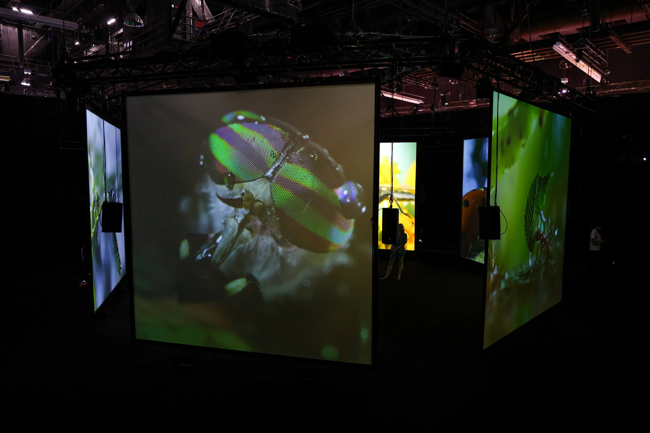 LC_D23Hexadome-5@Credit Little Cinema for Nat Geo.jpg