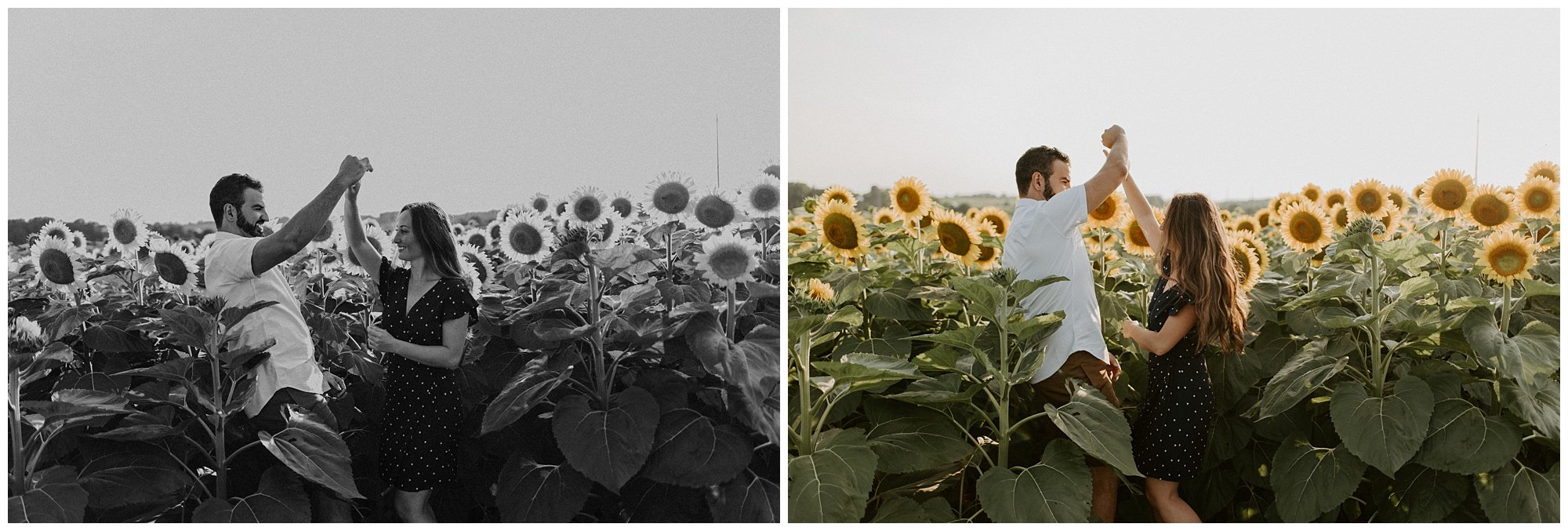 Hamilton Sunflower Field Engagement_0005.jpg