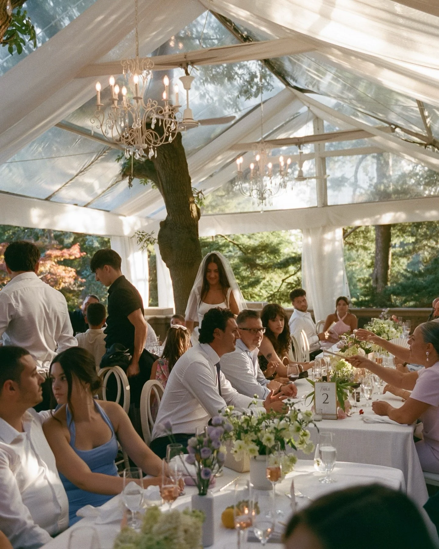 Laura and John: The Reception. Summer weddings @graydonhallmanor really are something else ✨🍋🍸🫶

.
.
.
.
.
#carachapmanphotography #torontoweddingphotographer  #destinationweddingphotographer  #italyweddingphotographer #tuscanyweddingphotographer 