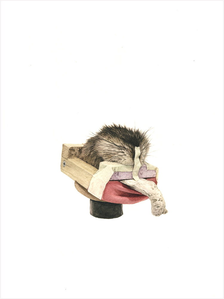 Self Portrait (Mouth)
