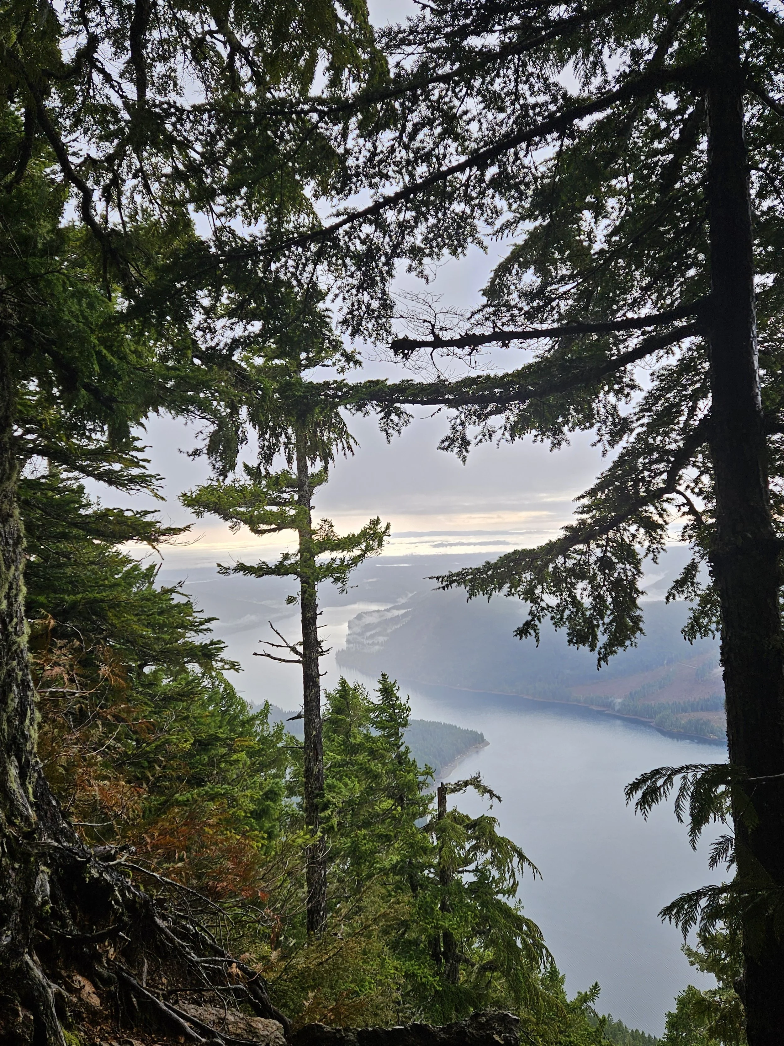 A Sacred Reset: Intention at the Threshold