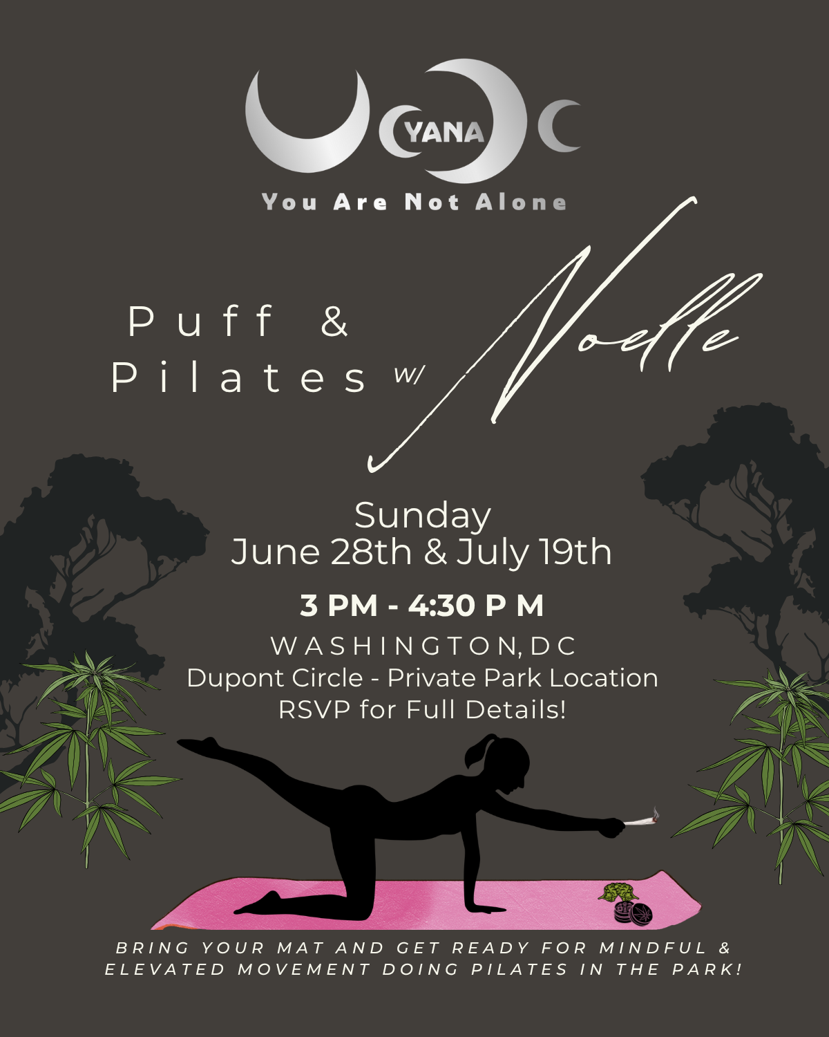 FREE Pilates in the Park