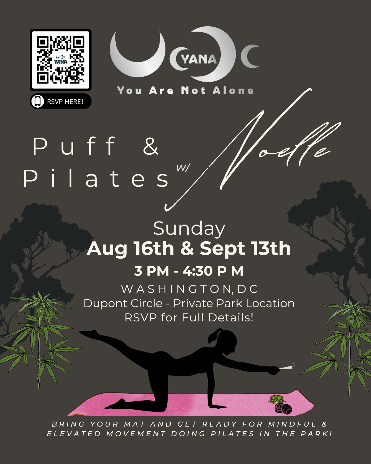FREE Pilates in the Park - 420 Friendly Event in DC