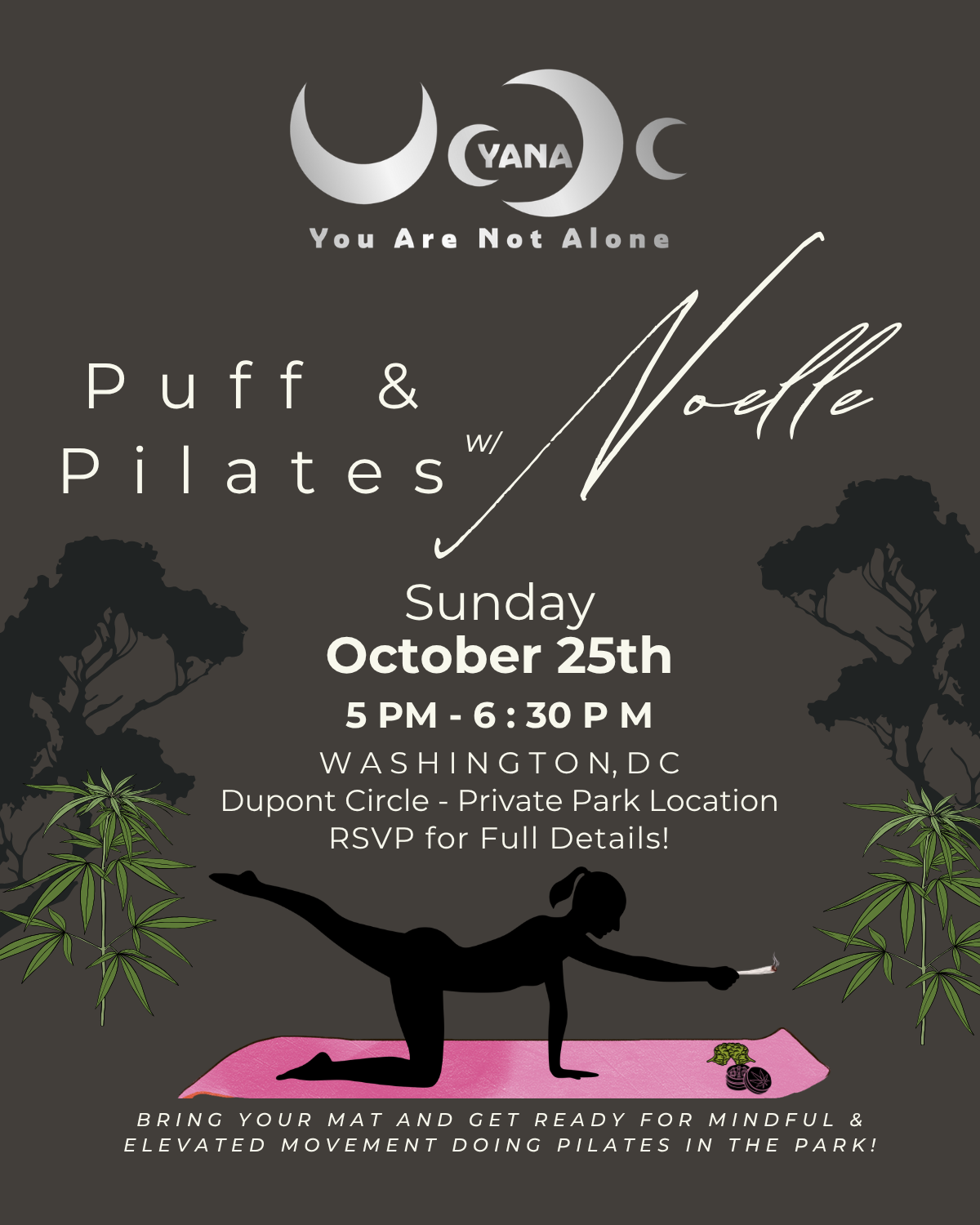 FREE Pilates in the Park - 420 Friendly Event in DC 