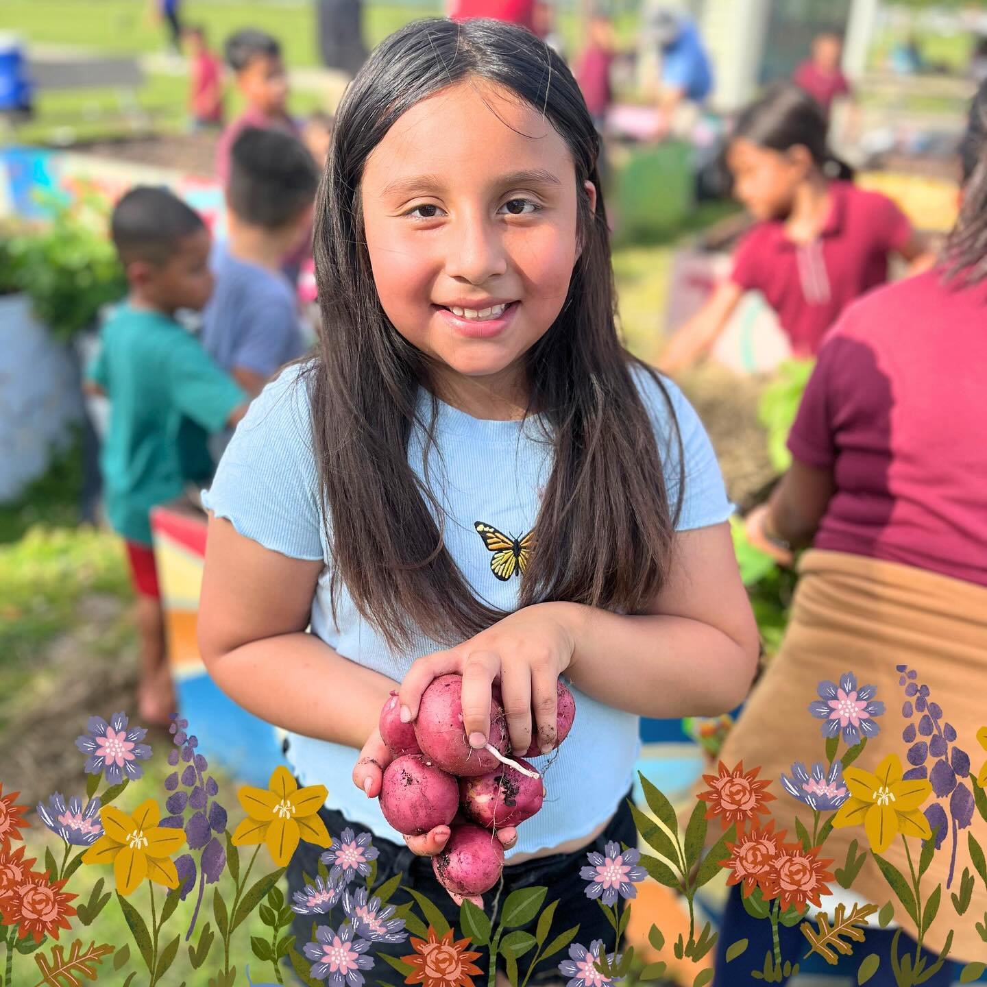 Spring Harvest! 🥔🌱🍠

Yesterday afternoon we harvested potatoes from our garden and planted other yummy veggies! 

⏰Join us on May 6th at 4:30 PM for our next garden day! @fullnessfarm has some exciting new additions for us! 💚 #GardereProud #commu