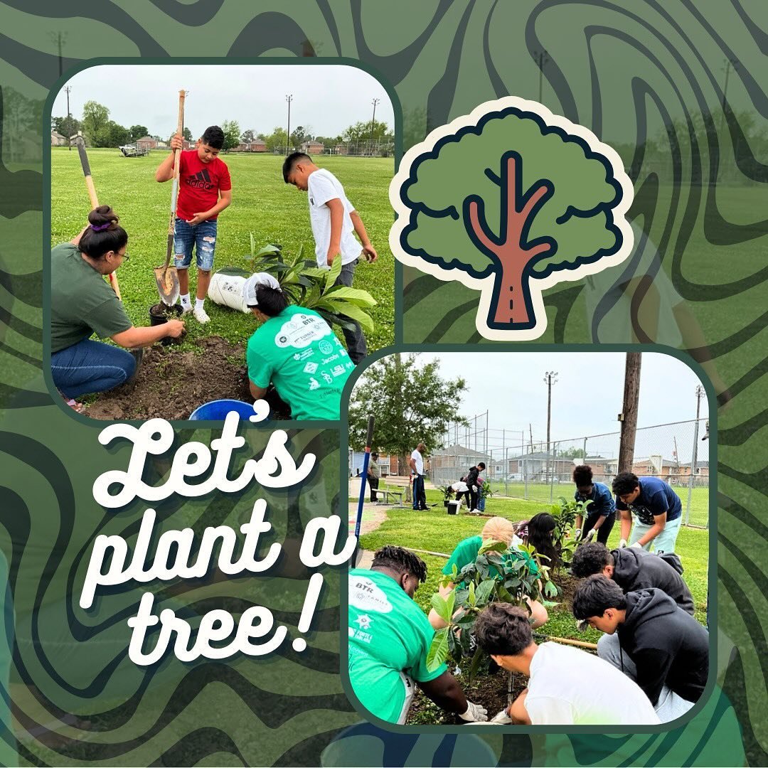 34 NEW FRUIT TREES!🌳🍊

Thank you to @fullnessfarm for coordinating this effort! We love our farmers!

It is amazing what can get accomplished when a community comes together! We planted, fertilized and watered 34 fruit trees in 2 hours at Hartley/V
