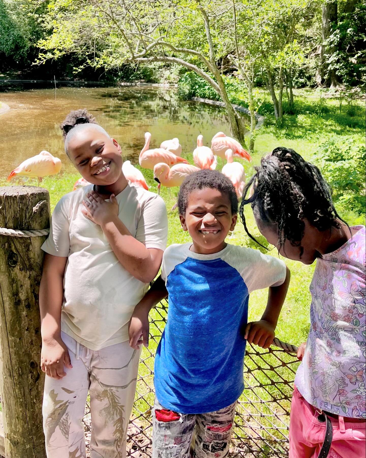 For the East Baton Rouge parish spring break we took 120 children and parents to Greenwood park and the BREC zoo! Thank you @brec_parks @batonrougezoo for the assistance with transportation to and from the zoo! 🐯🐒🐘💚