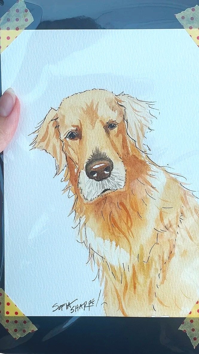Watercolor Sketch