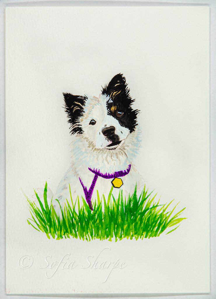 Guache Pet Portraits