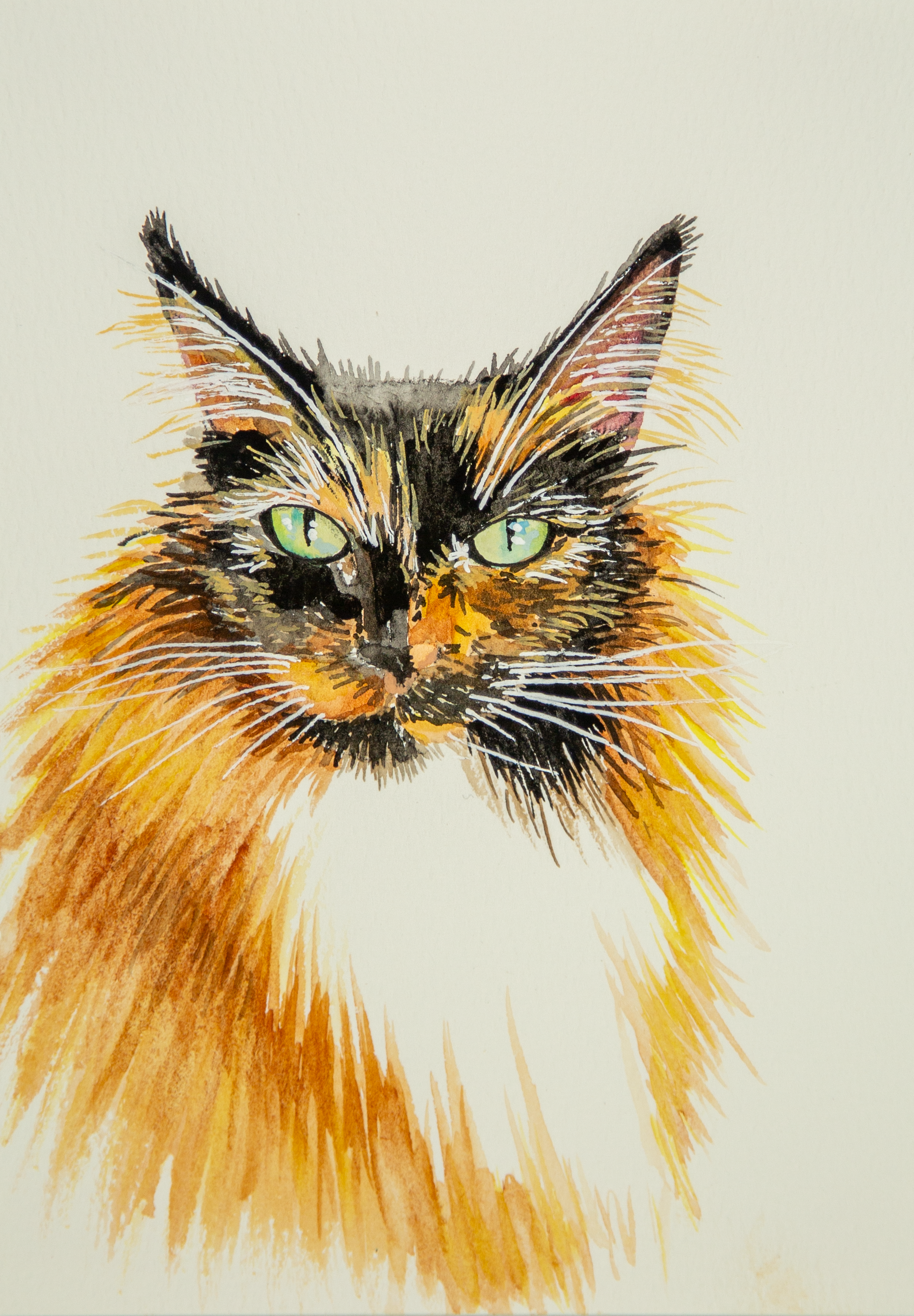 20260426_Minette_104.png