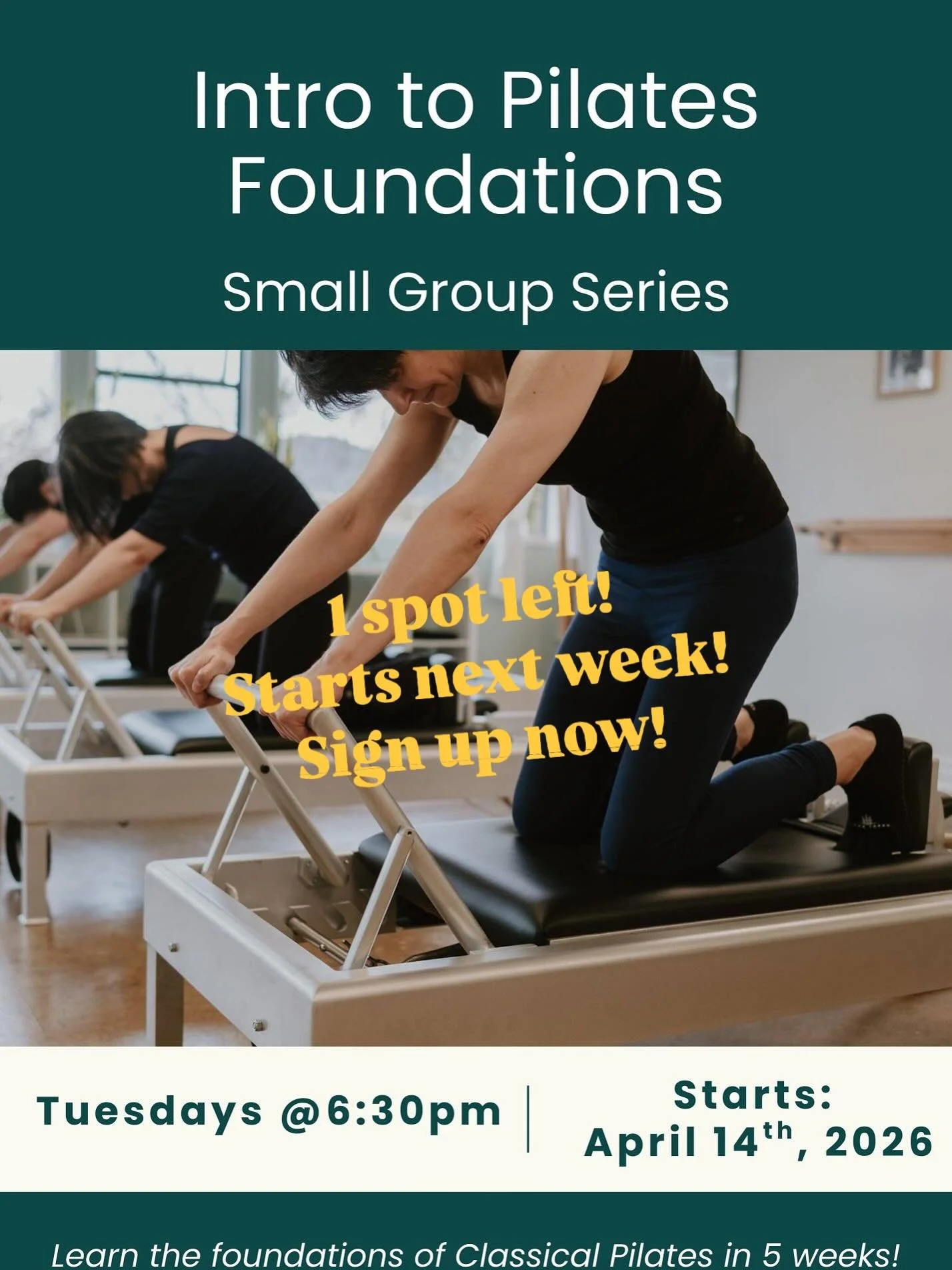 1 spot left! 
Learn the foundations of classical Pilates in a small &amp; supportive group.

Starts Tuesday, April 14 @6:30pm
5 classes for the series

#classicalpilates #classicalpilatesstudio #pilates #vancouverpilates #pilateskerrisdale #kerrisdal