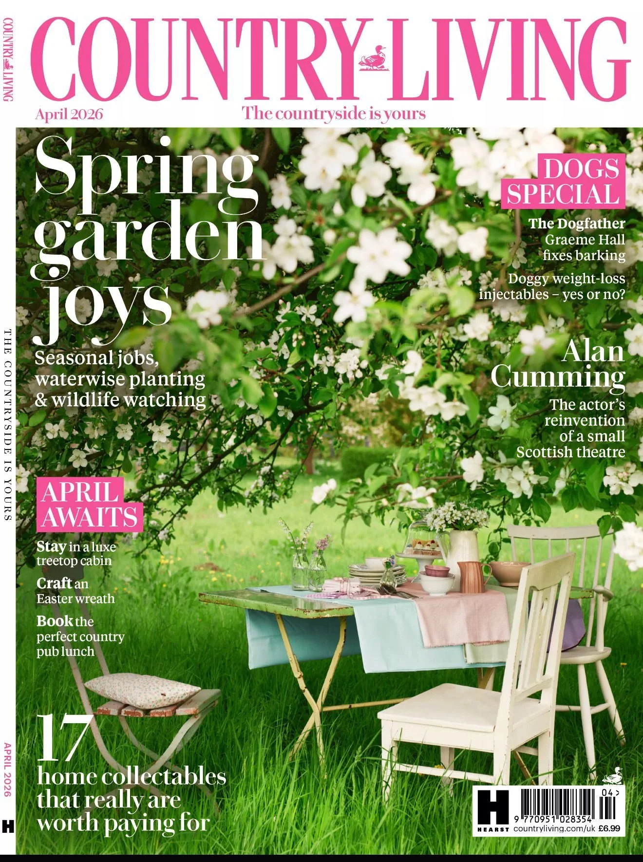 Spring garden scene with a table set with dishes under blooming white flowers in a lush green yard.