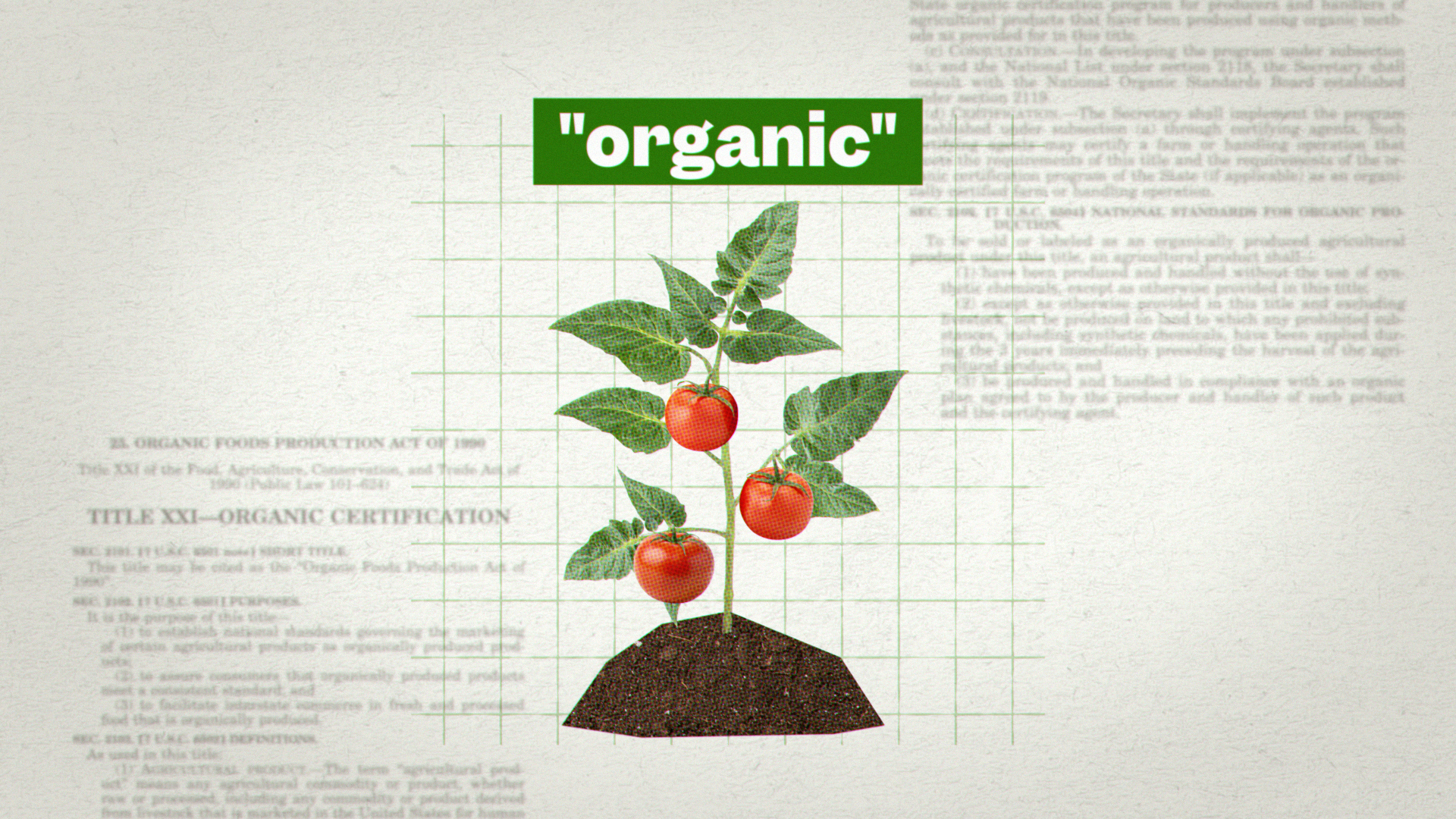 SE_organic_still_07.png