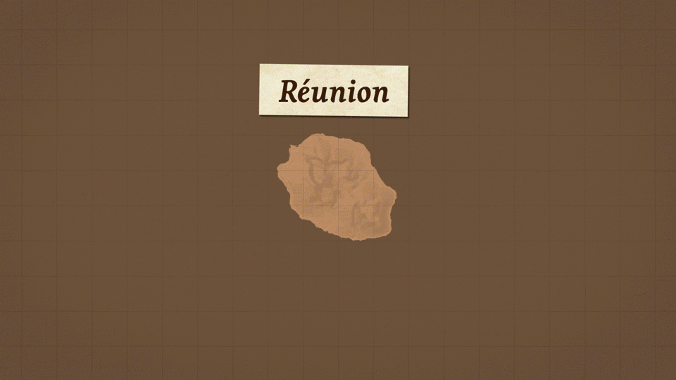 BB_vanilla_motion_01.gif