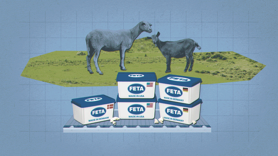 feta_motion_03.gif