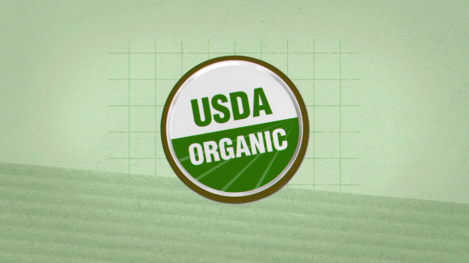 SE_organic_motion_06.gif
