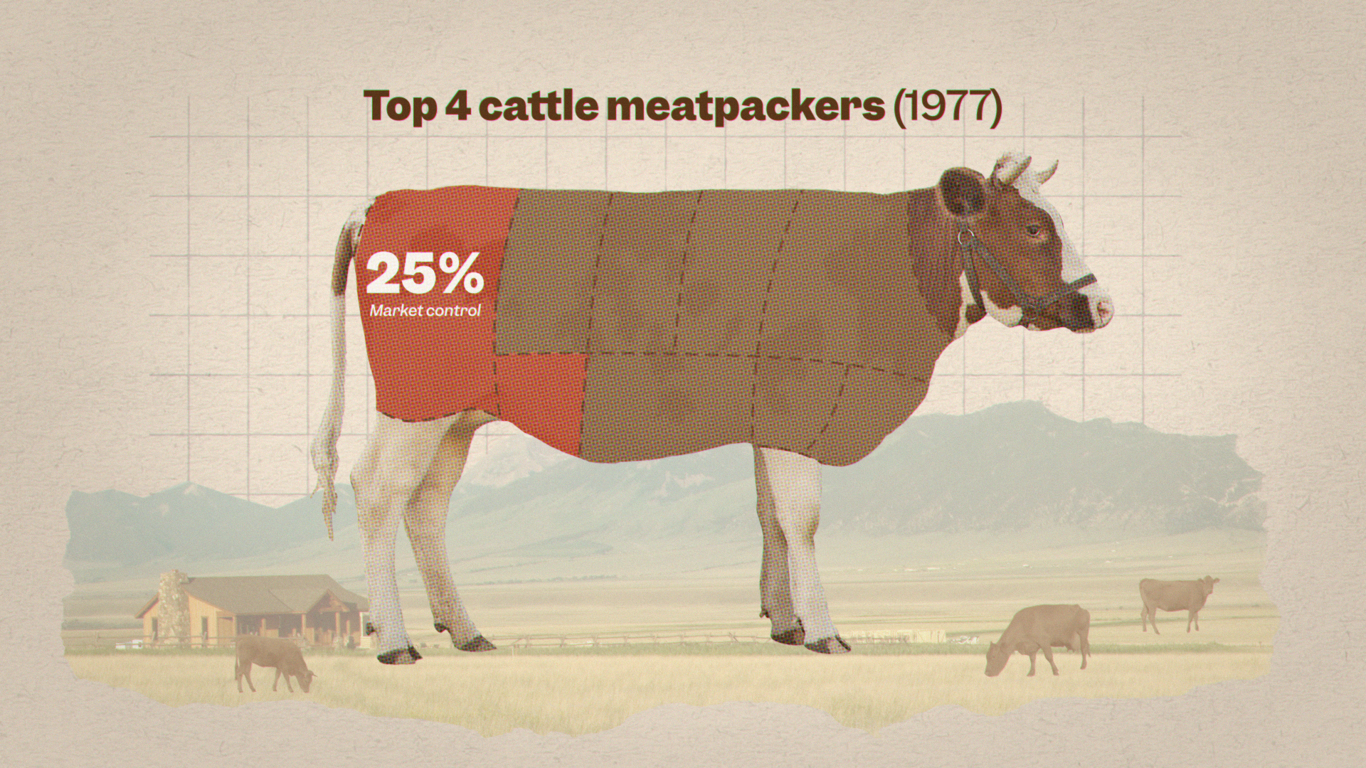 SE_beef_still_03.png