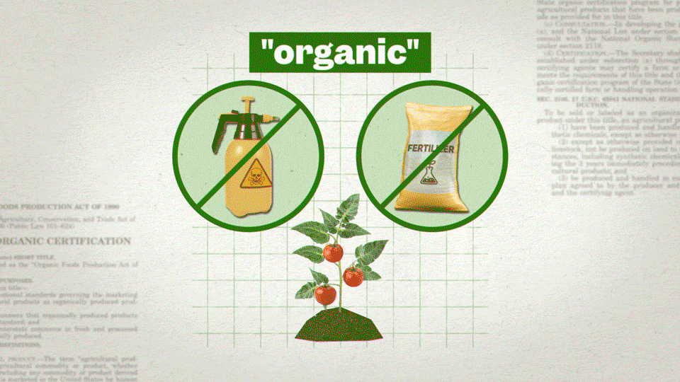 SE_organic_motion_02.gif