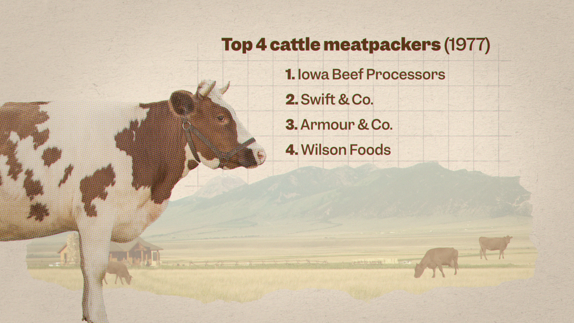 SE_beef_still_02.png