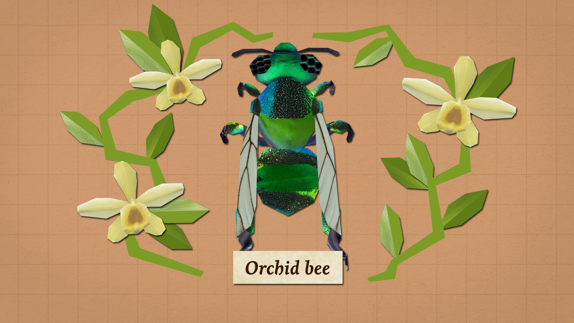 BB_vanilla_still_02.png