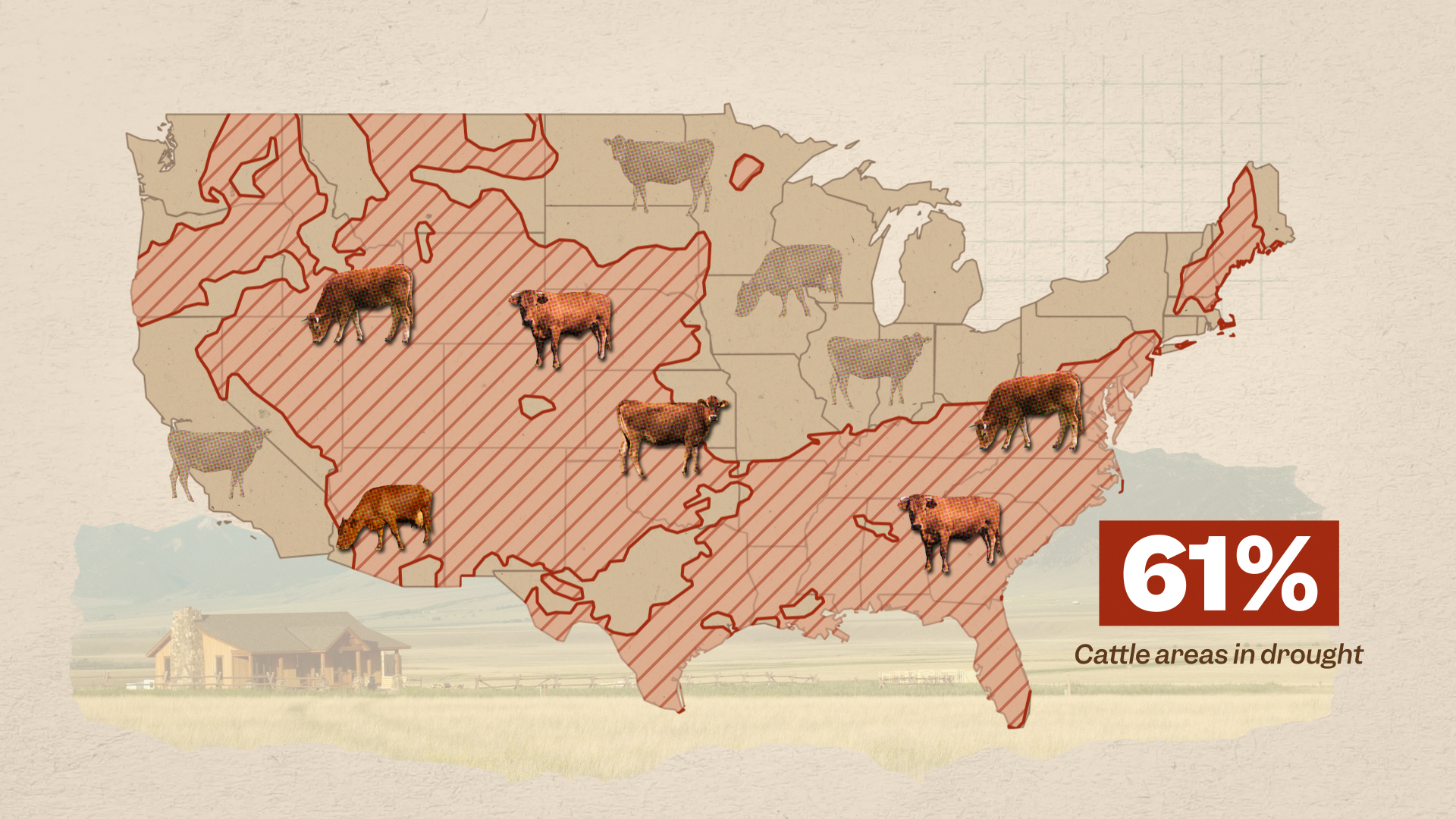 SE_beef_still_01.png
