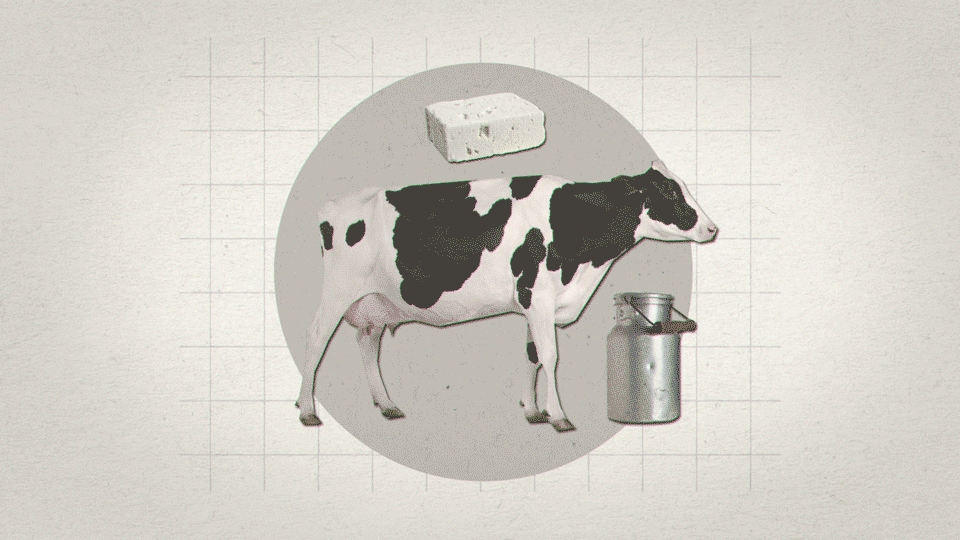 feta_motion_04.gif