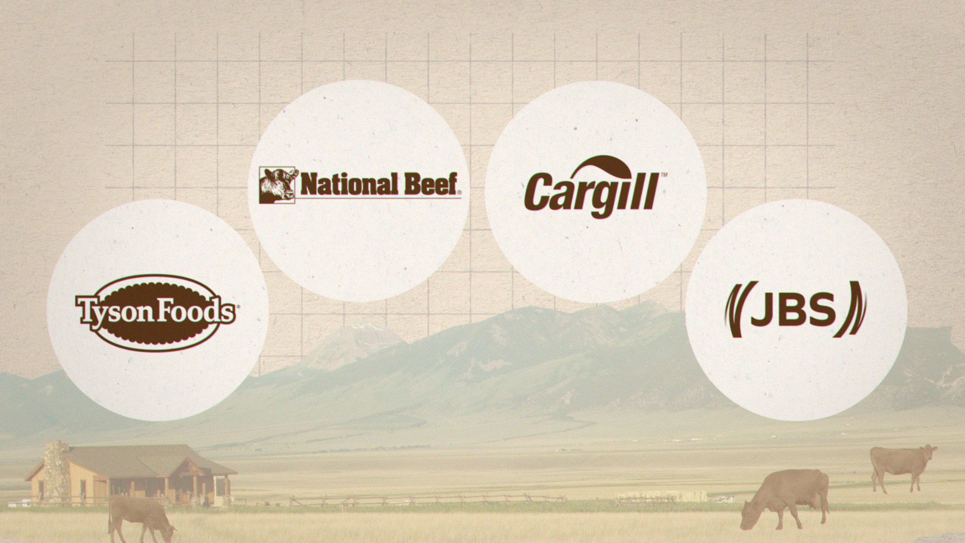 SE_beef_still_04.png