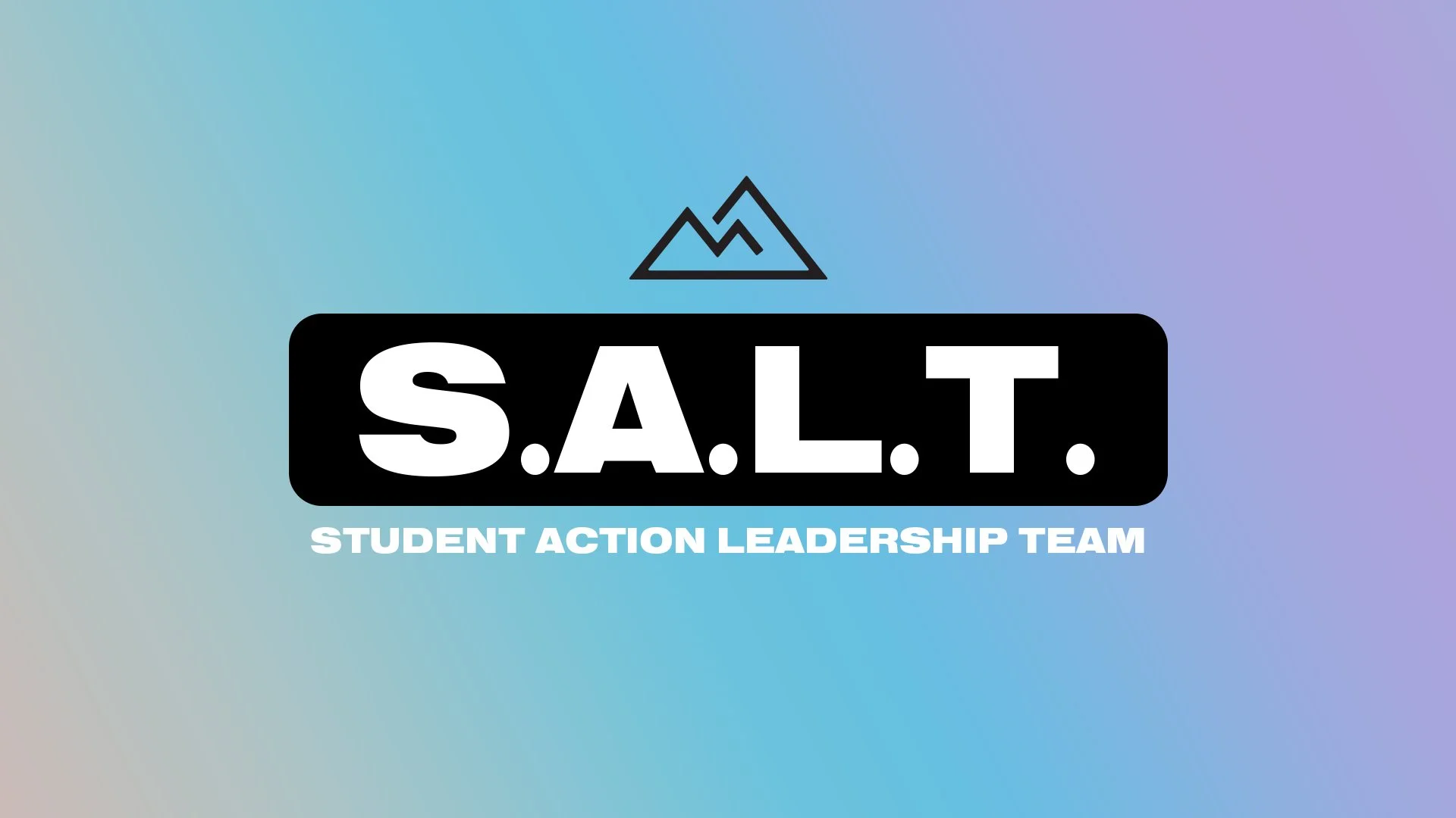 SALT (Student Action Leadership Team)