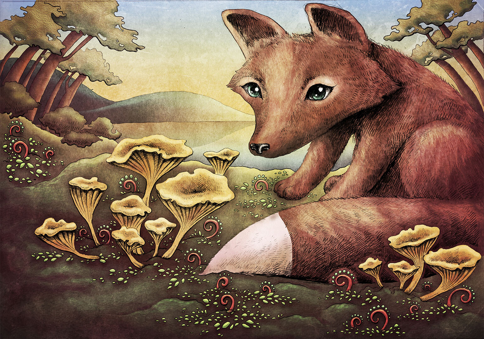 Chanterelle fox